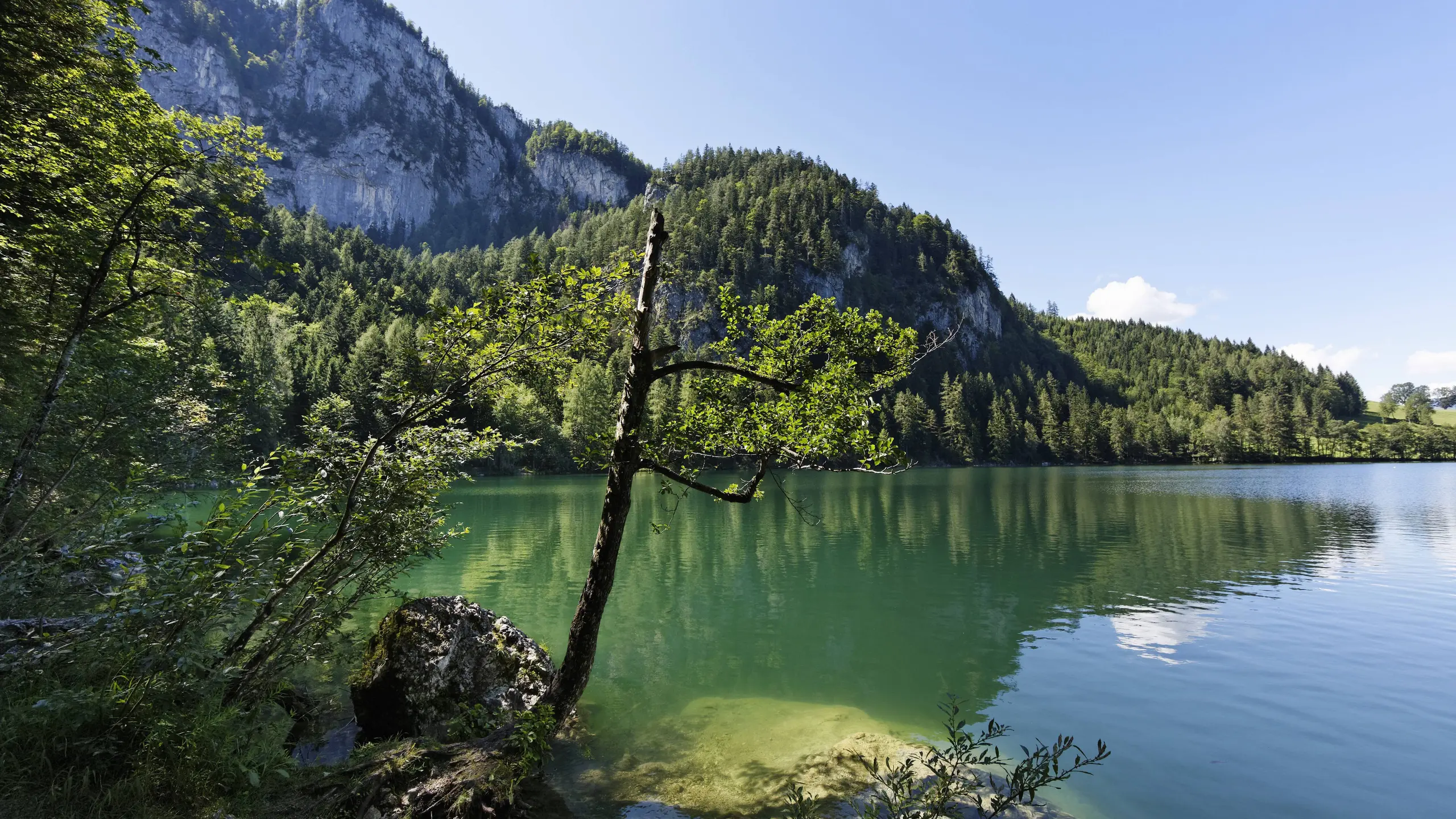 Gleinkersee