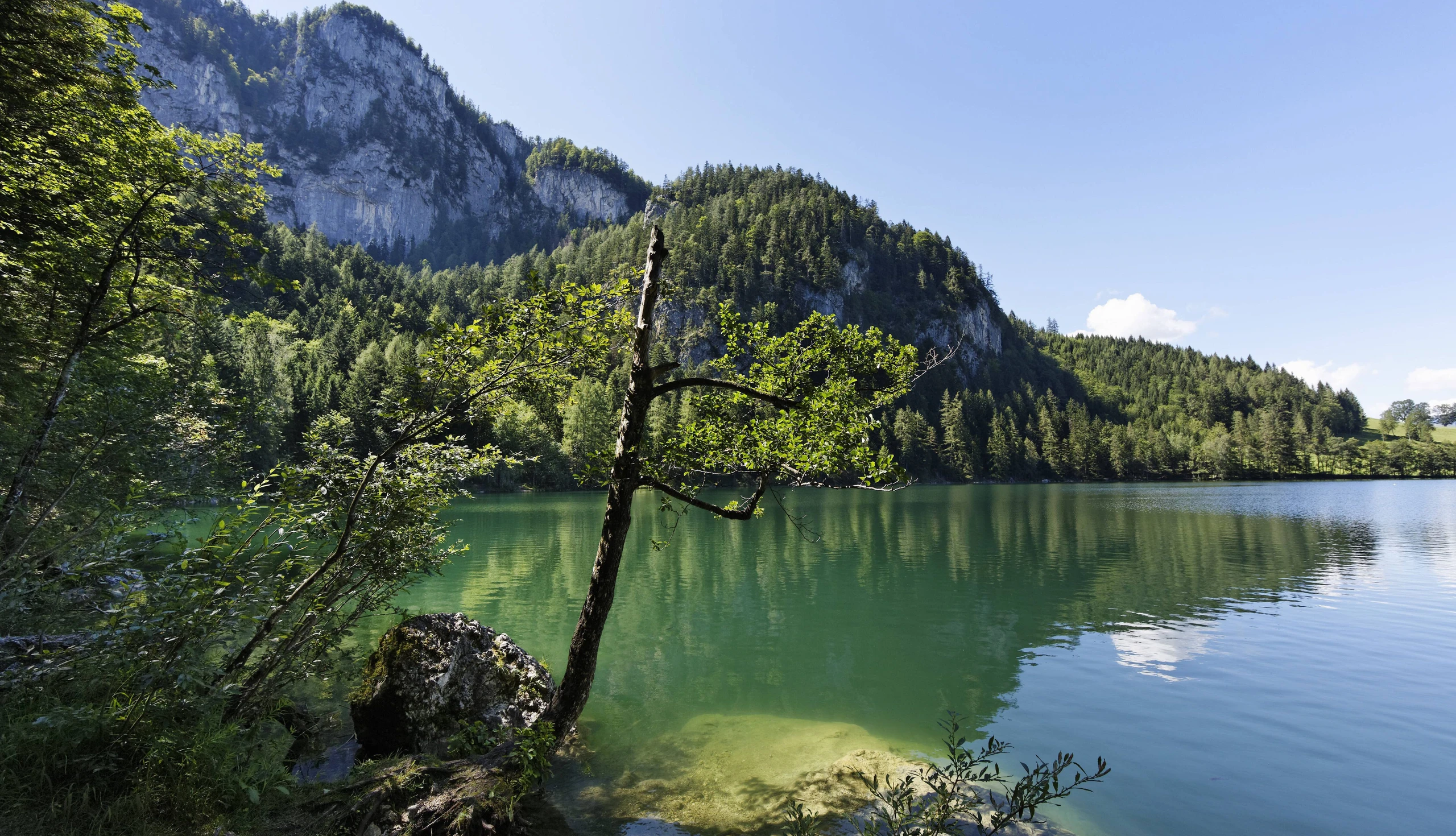 Gleinkersee