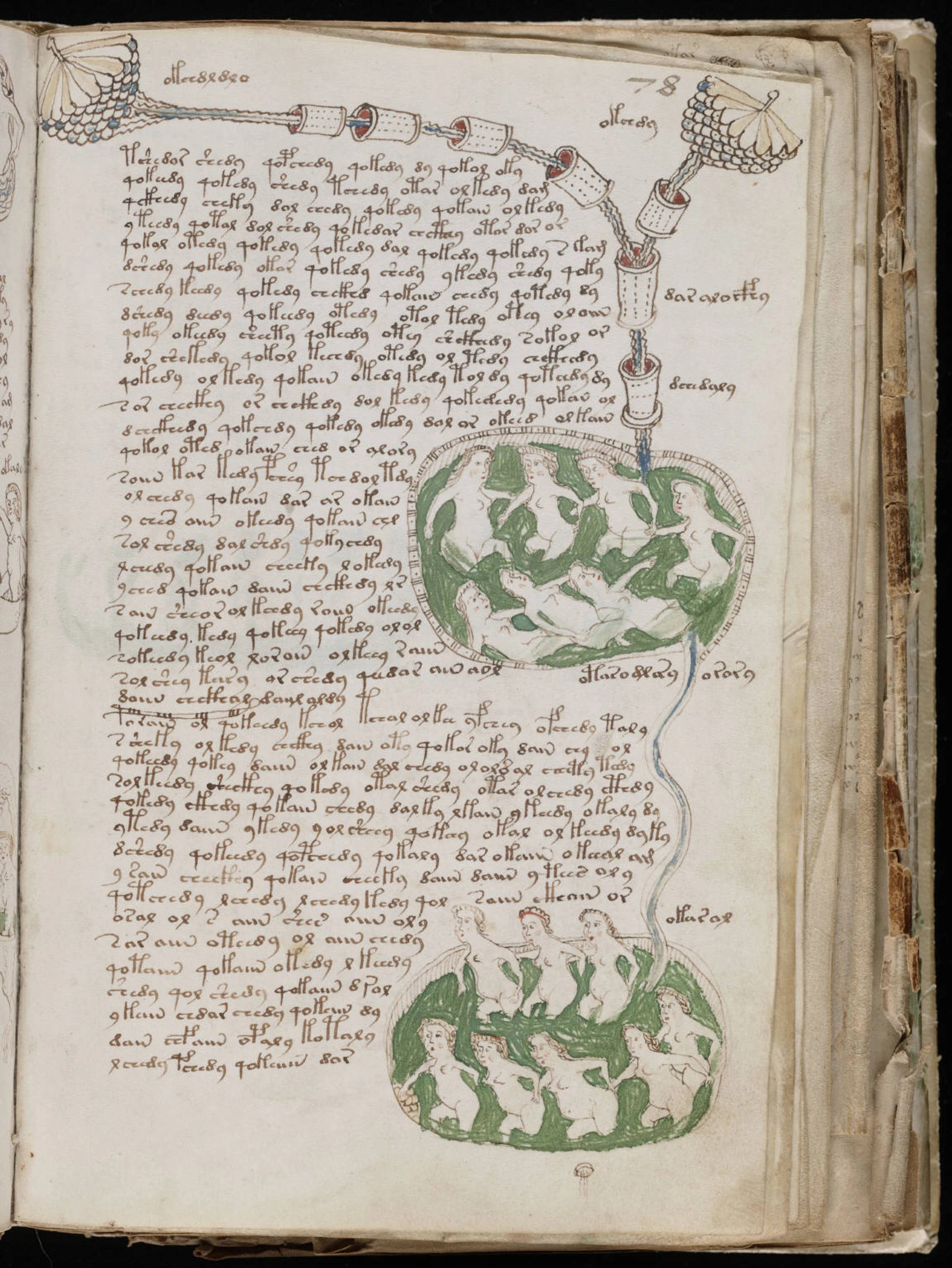 © Wikipedia/Beinecke Rare Book & Manuscript Library<> Yale University, Wikipedia/Beinecke Rare Book & Manuscript Library, Yale University Blurred image background