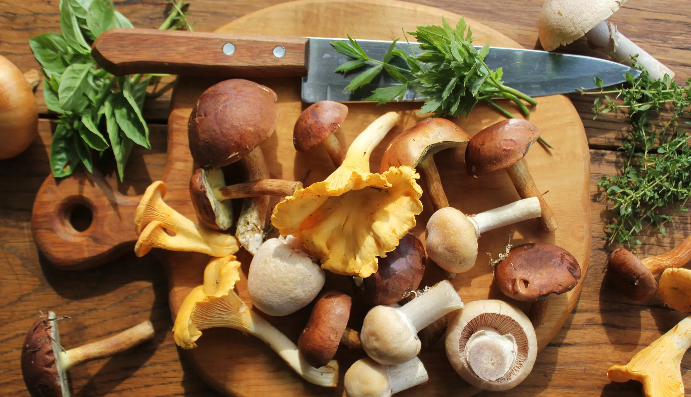Pilze, Foodtrends