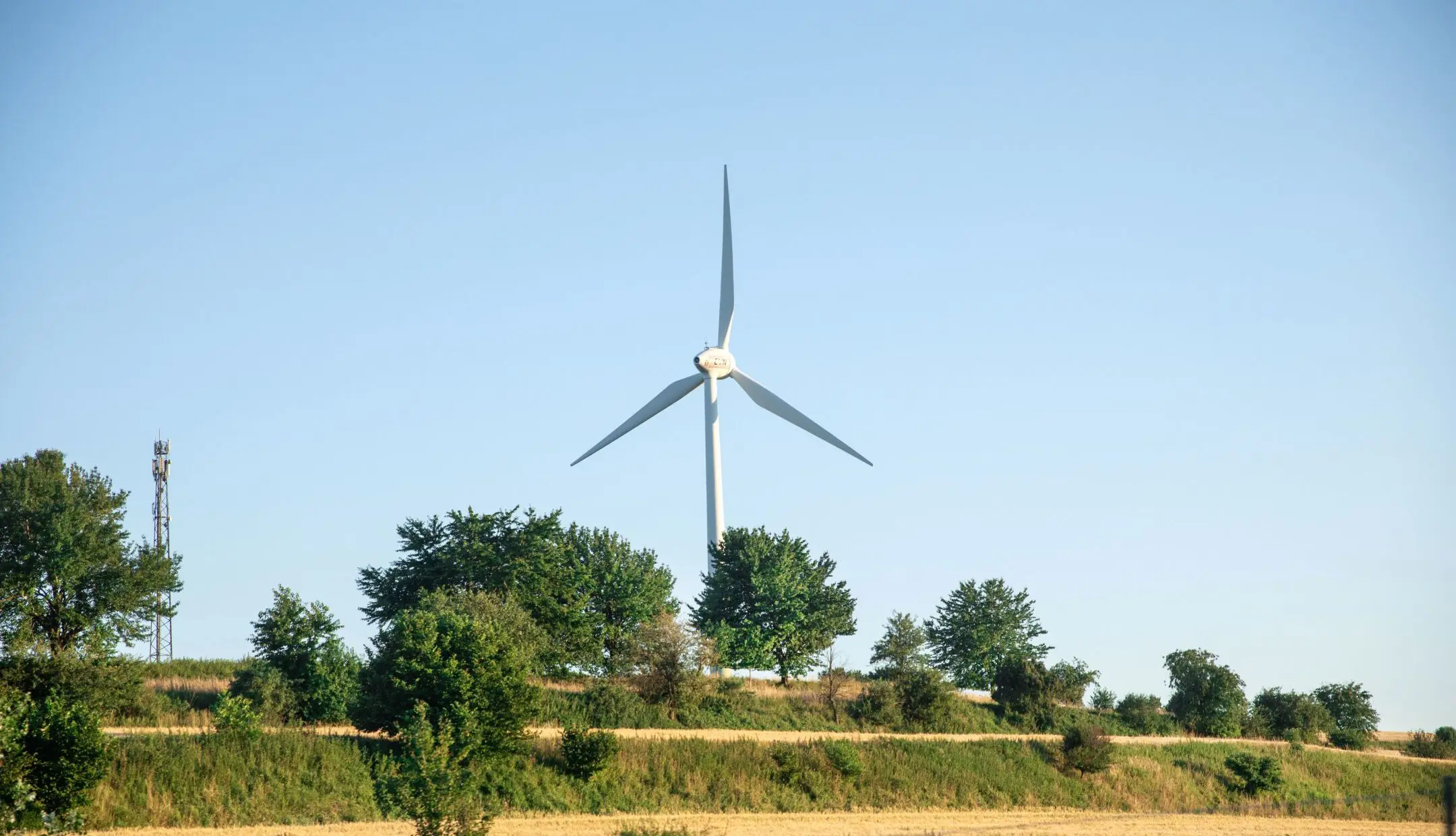 Erneuerbare Energien: Windkraft