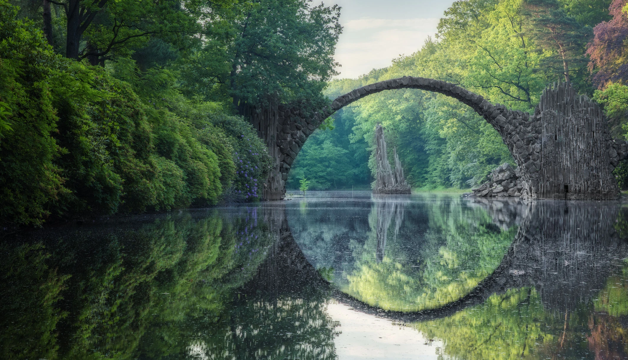 Lebensbaum: Was ein Baum über den Charakter verrät