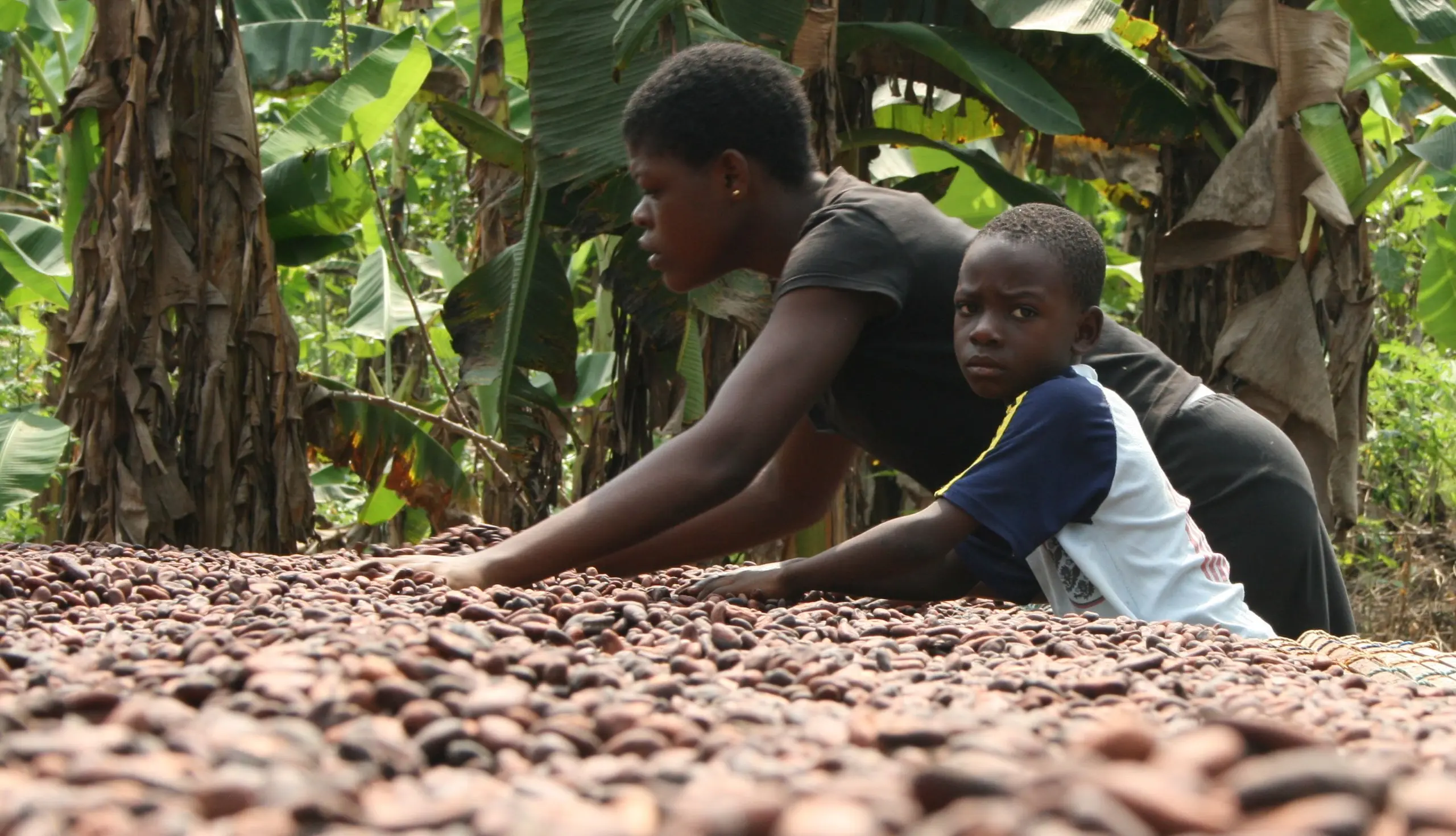 Kinderarbeit in Ghana