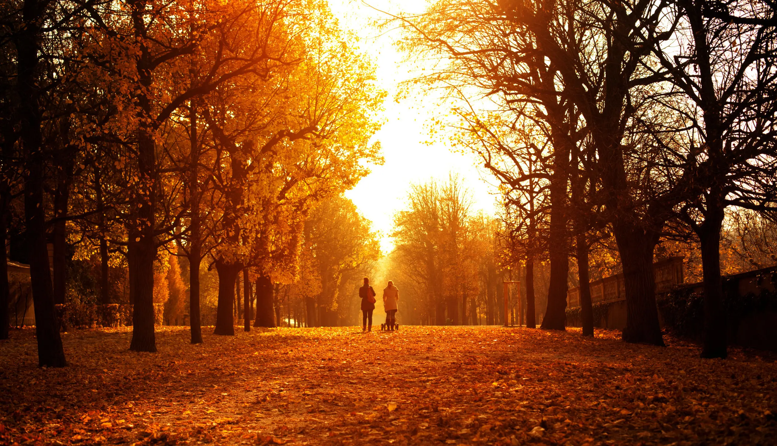 Herbst in Wien