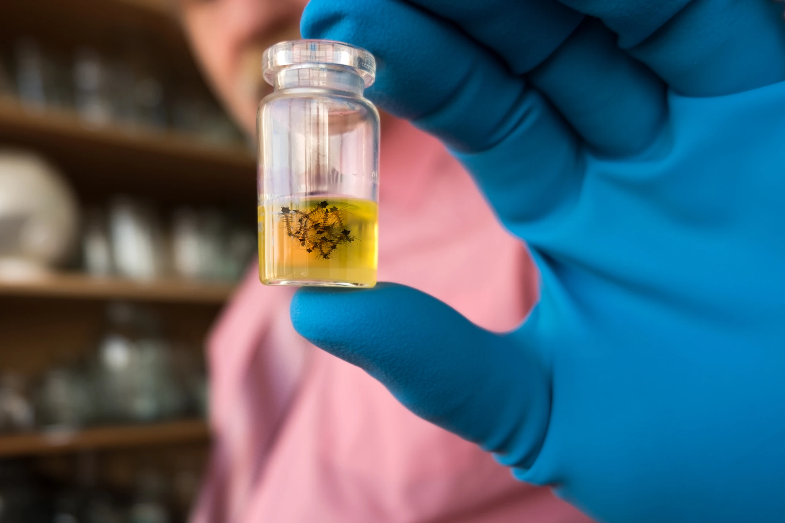 © Shutterstock.com Blurred image background