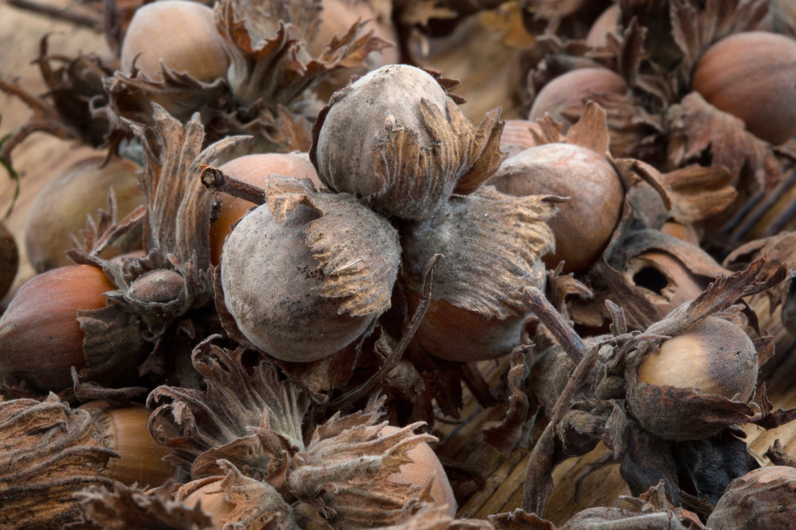 © iStockphoto.com Blurred image background