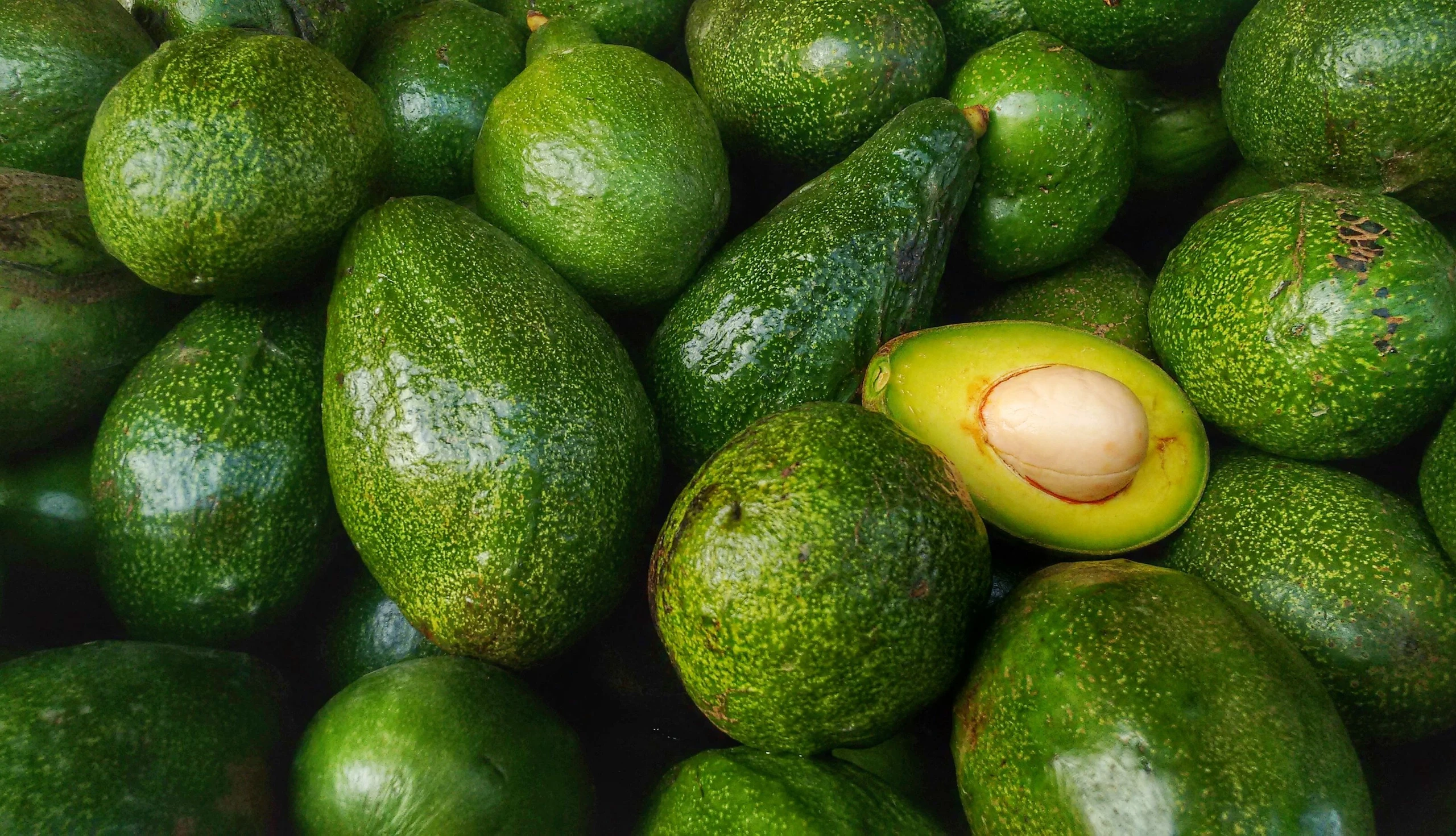 Avocados