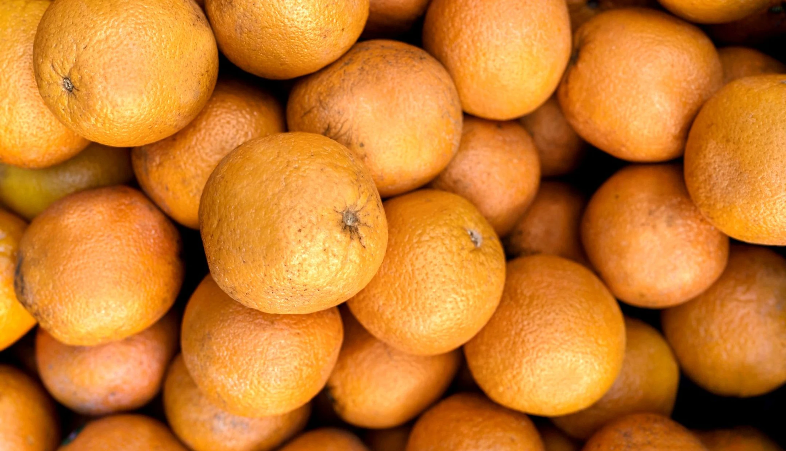 Orangen