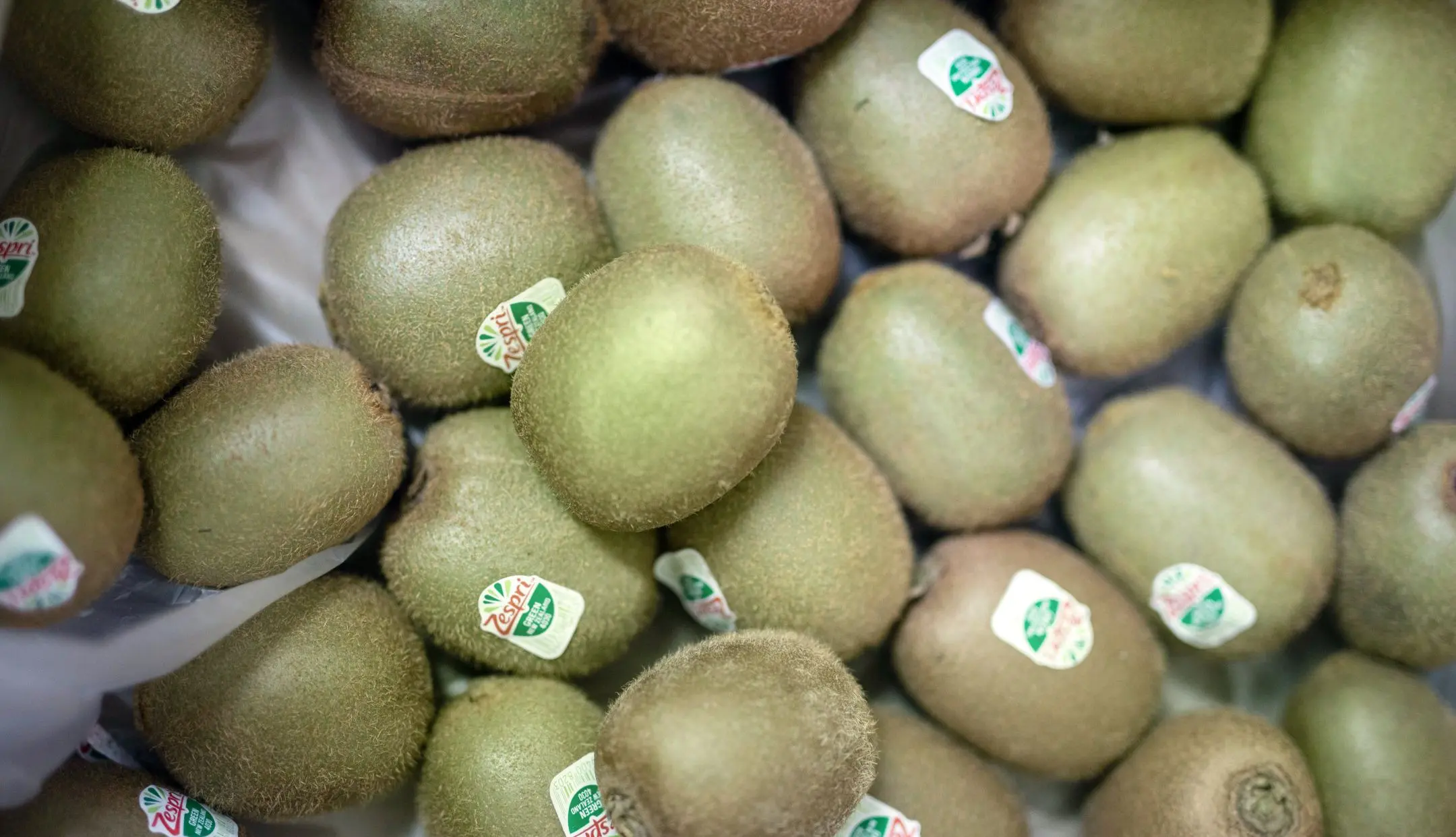 Kiwi