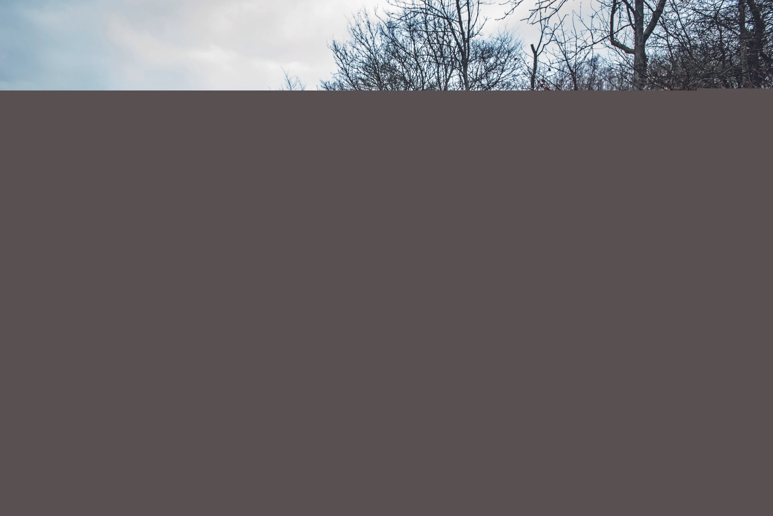 Blurred image background