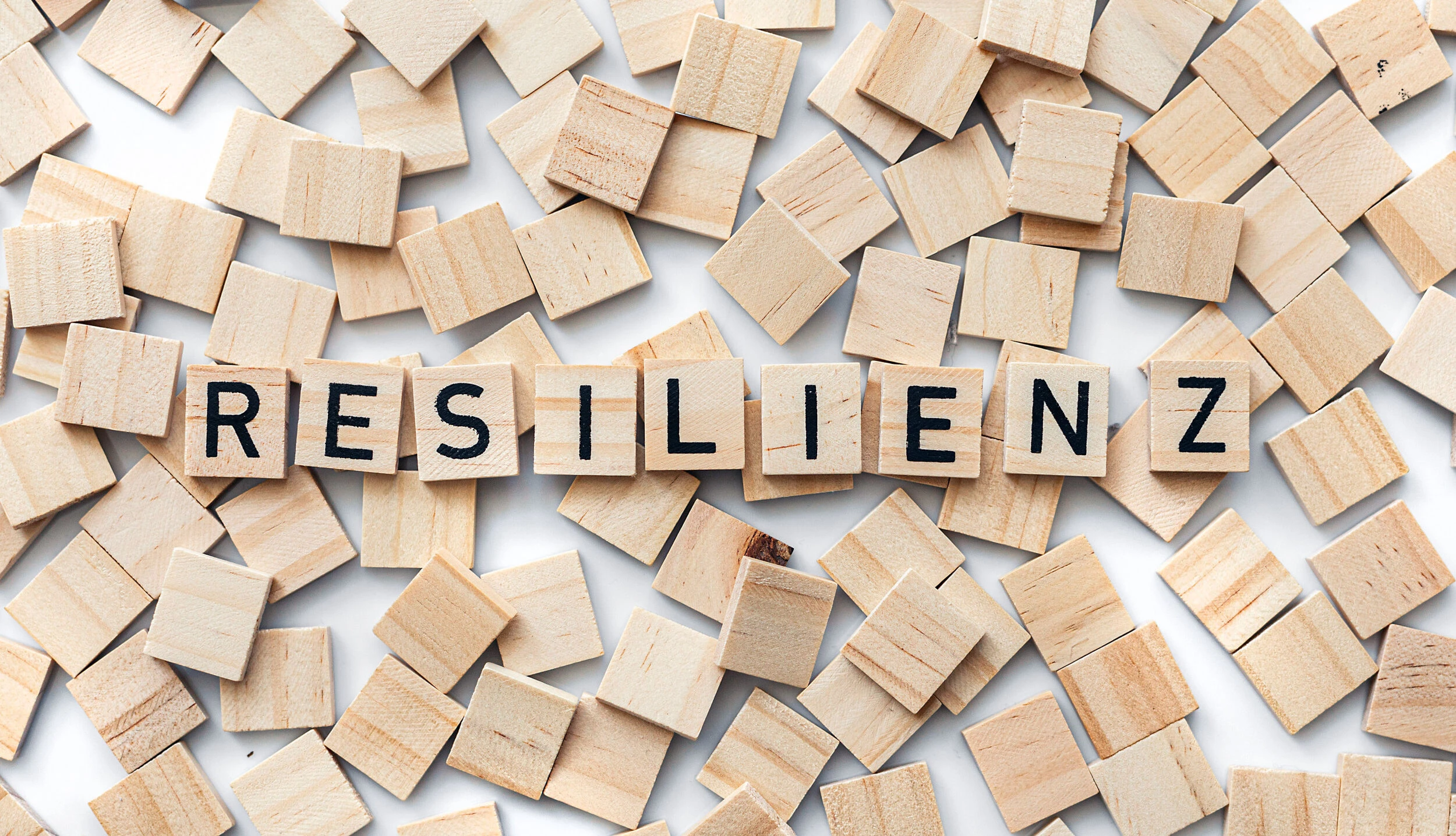 Resilienz