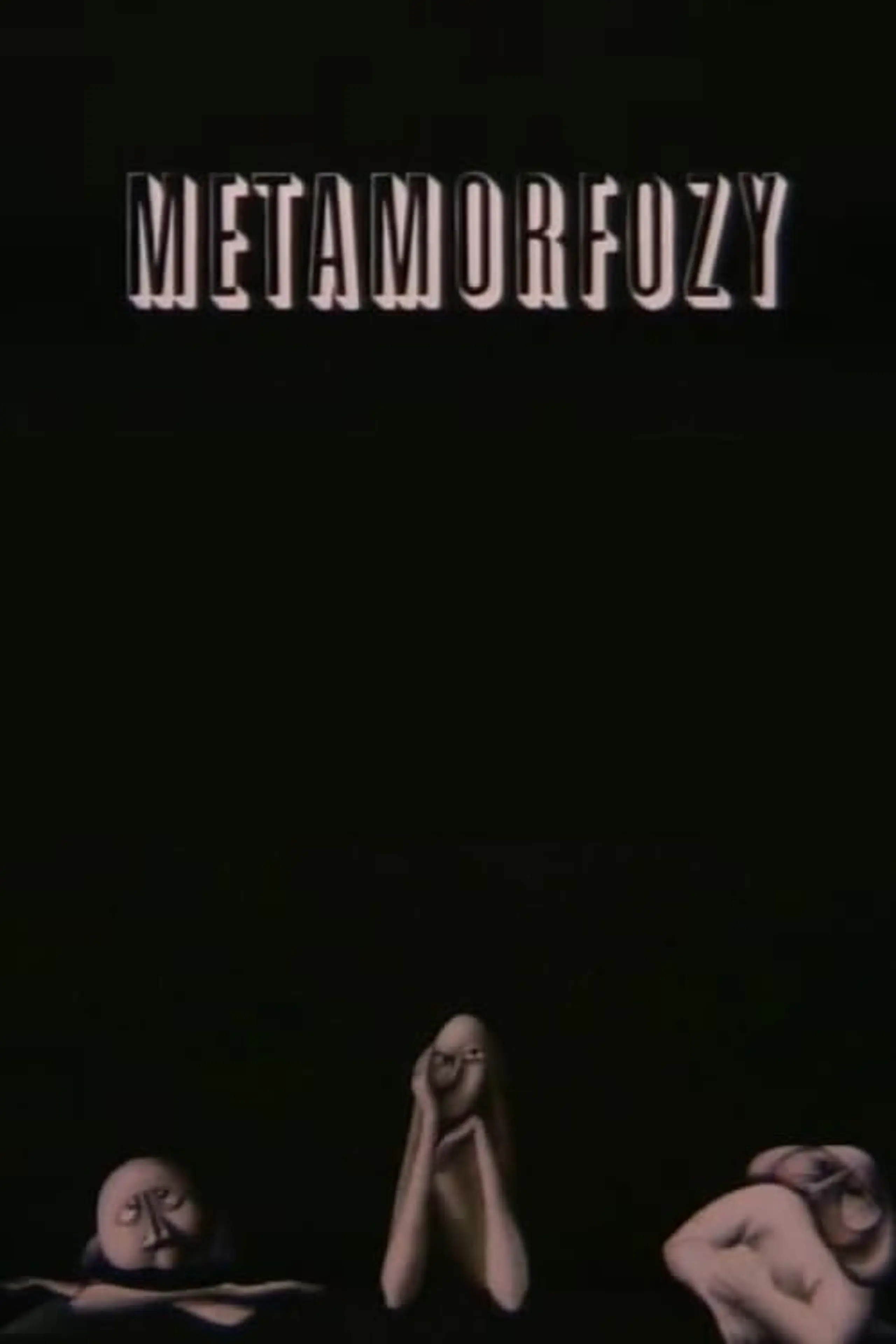 Metamorfozy