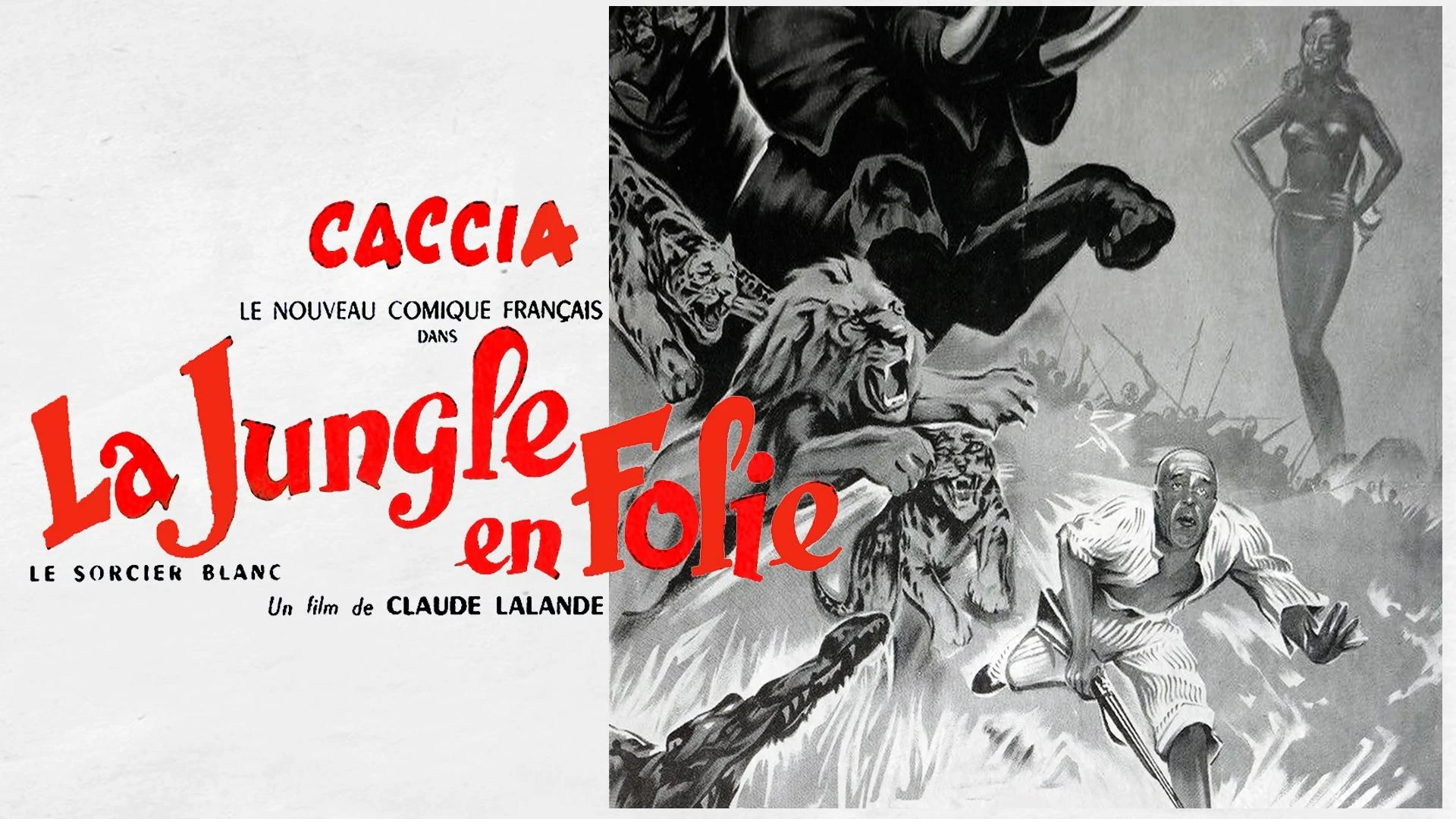 La jungle en folie