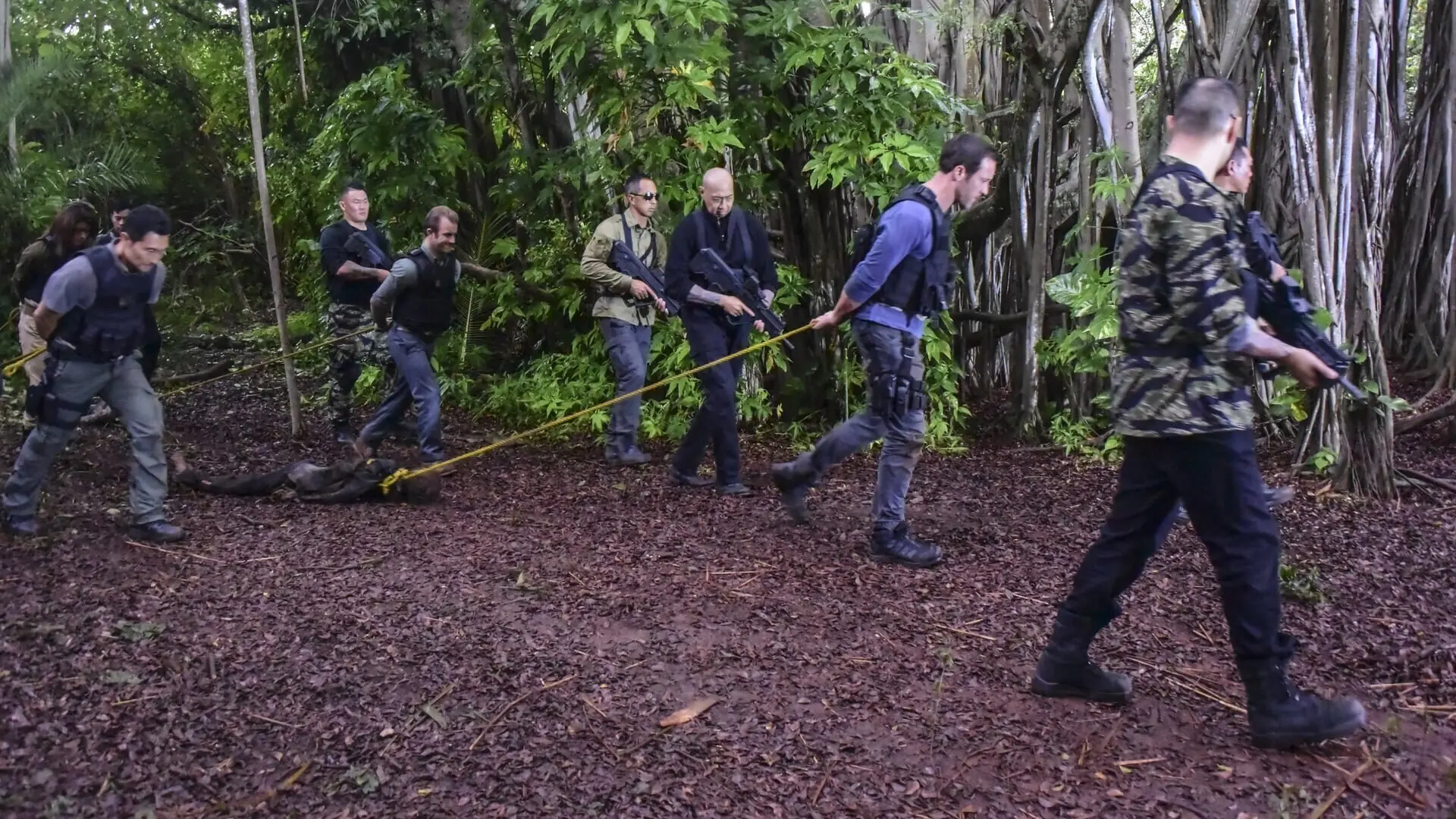 Hawaii Five-0