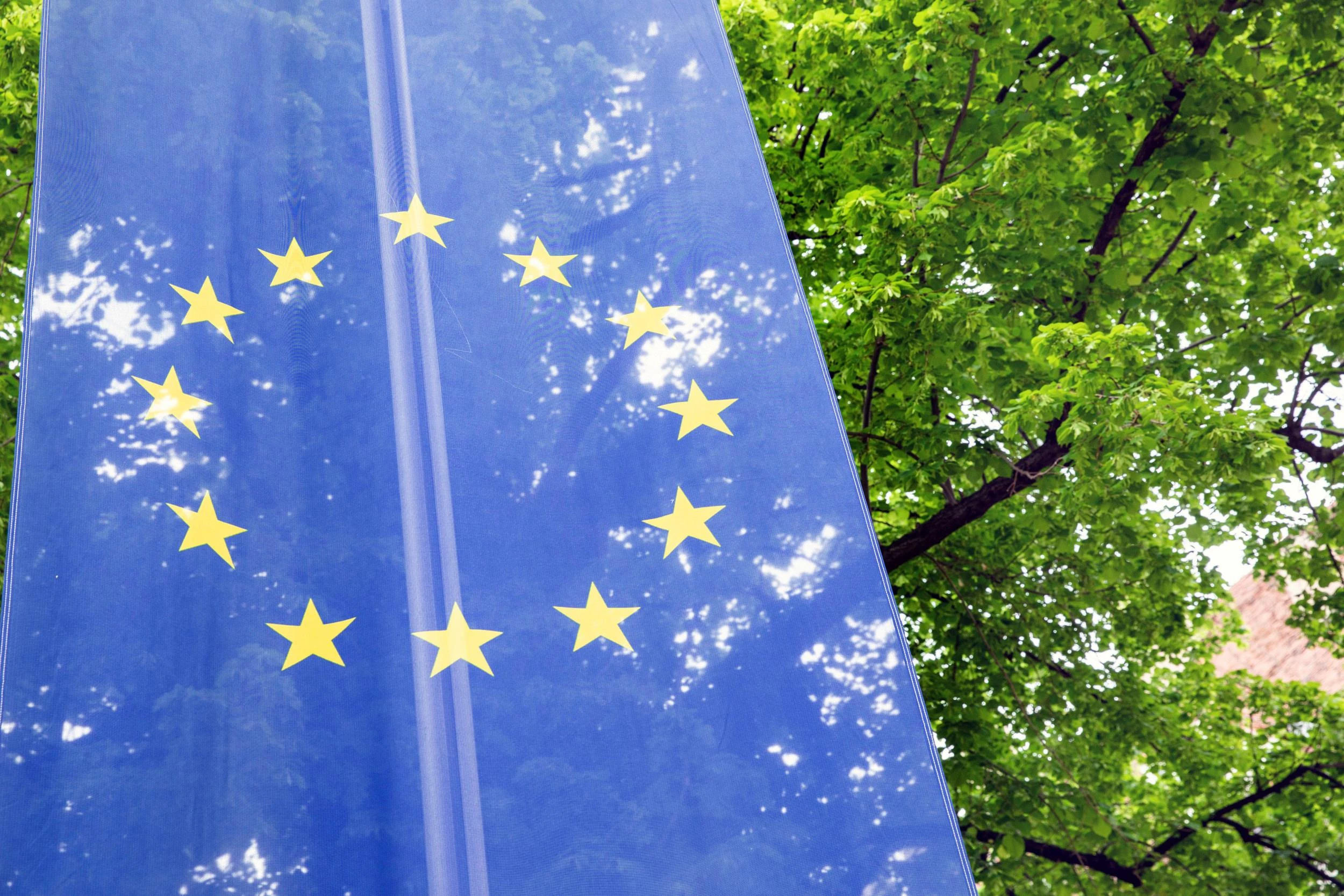 Europäische Union (EU) Flagge