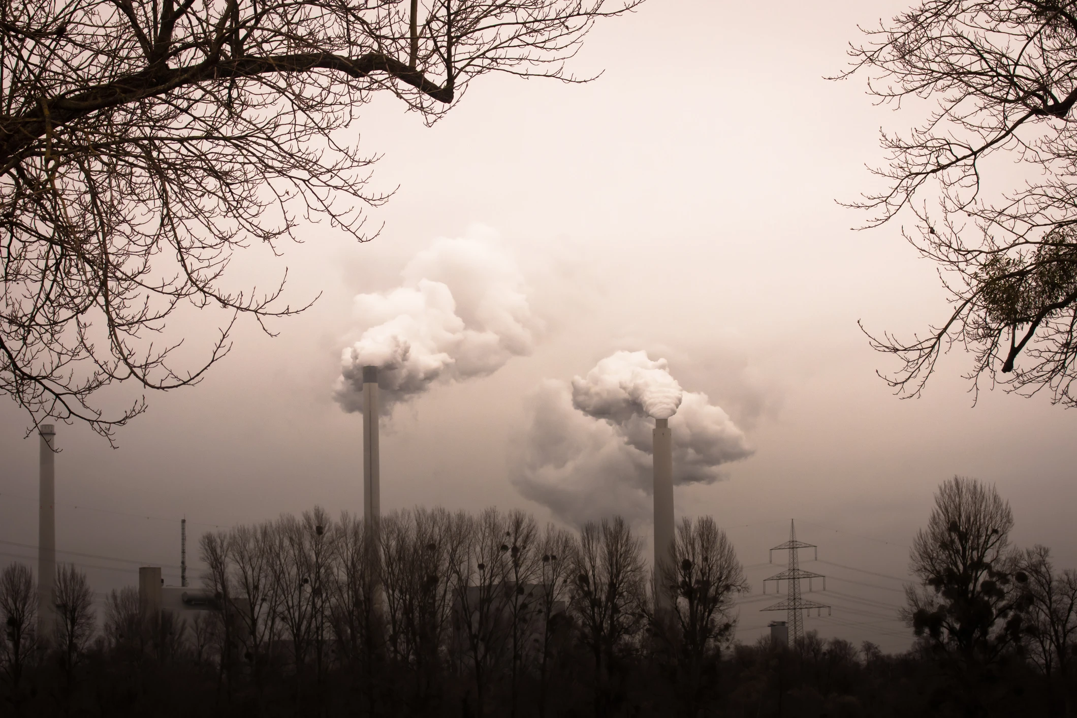 EU verschärft Klima-Fahrplan: 90 % weniger CO2 bis 2040