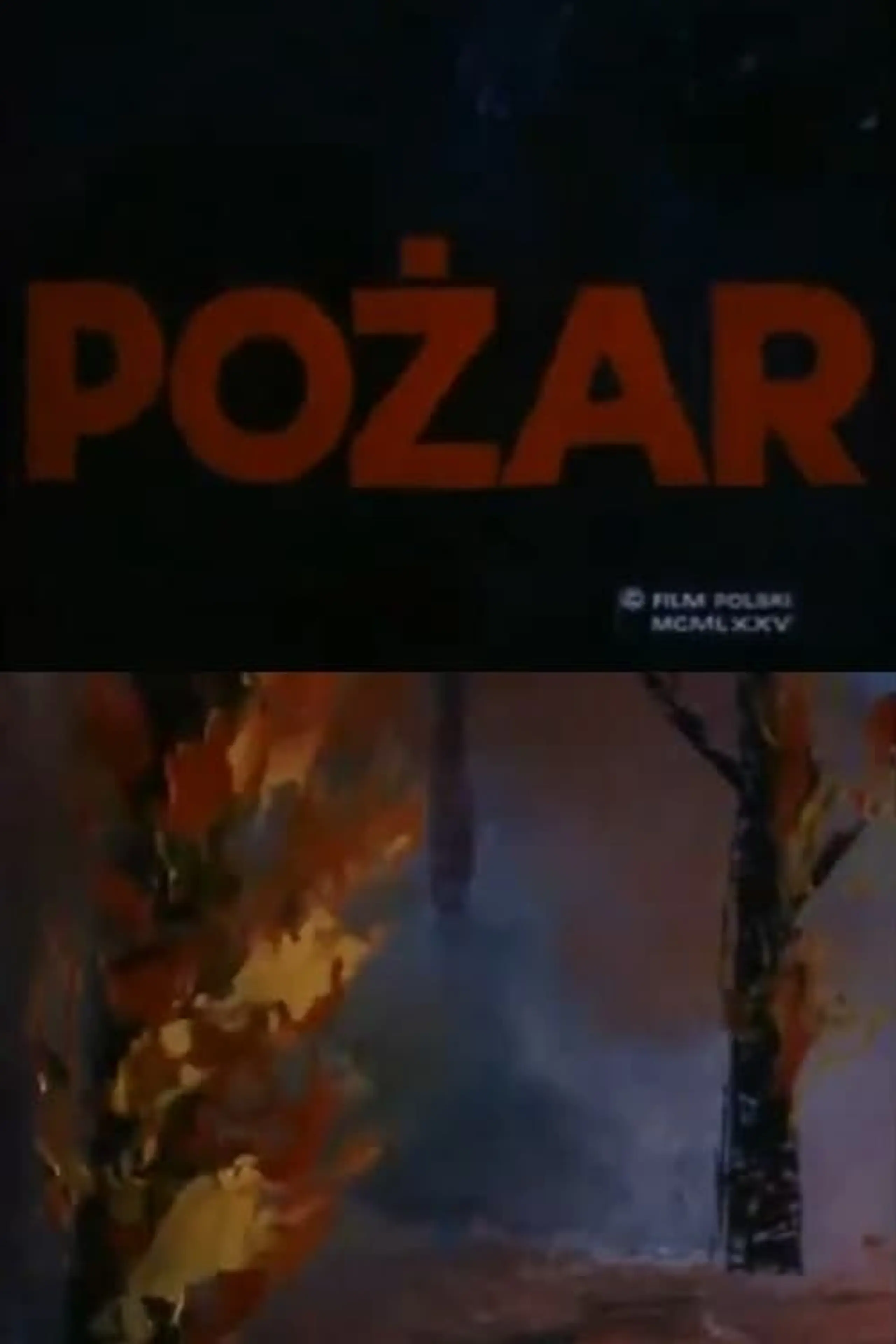 Pożar