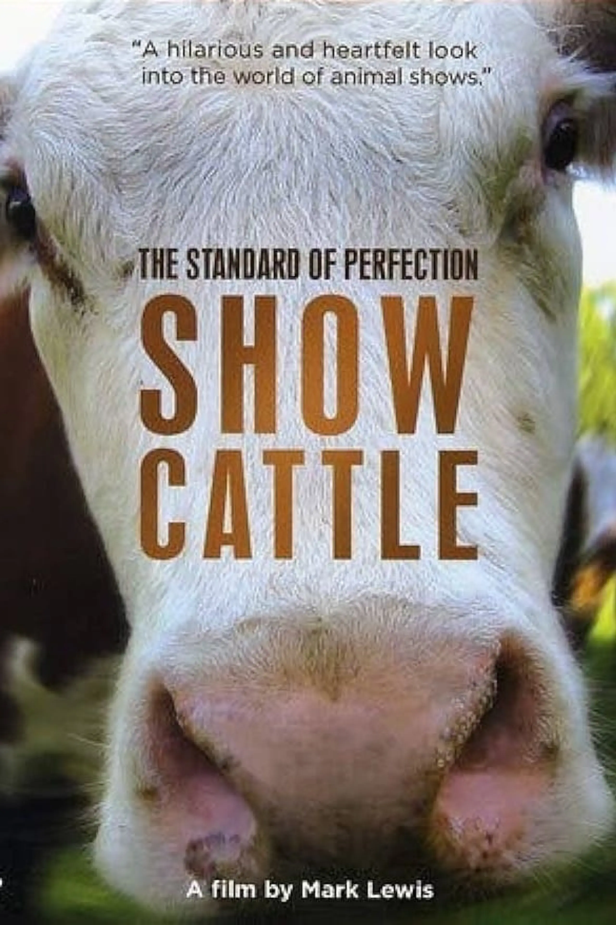 Standard of Perfection: Show Cattle