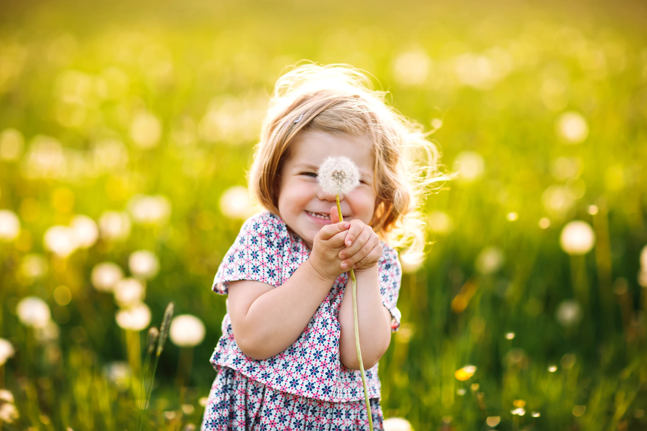 Blurred image background