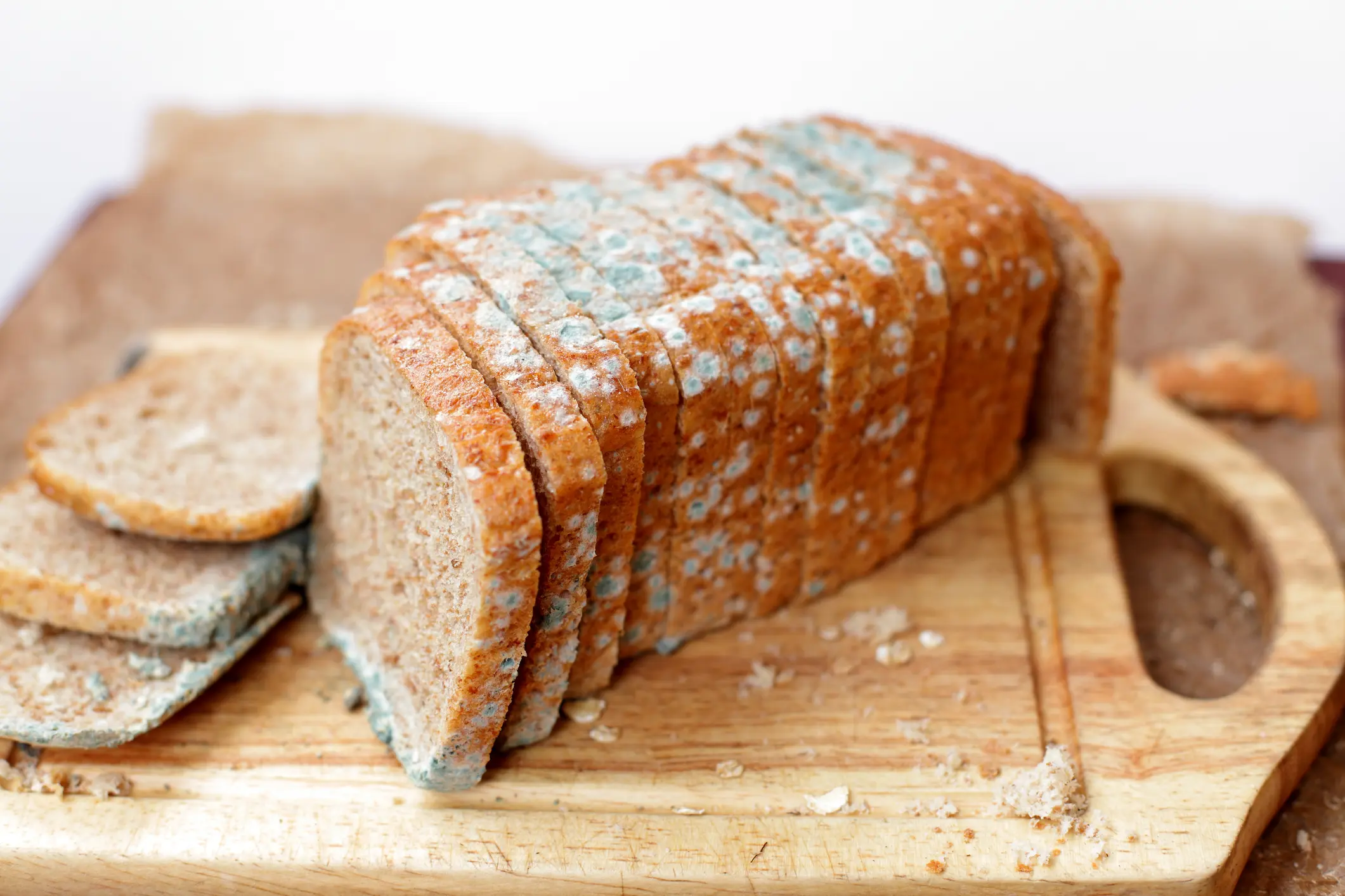Schimmeliges Brot
