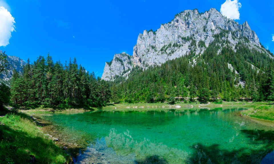 Blurred image background
