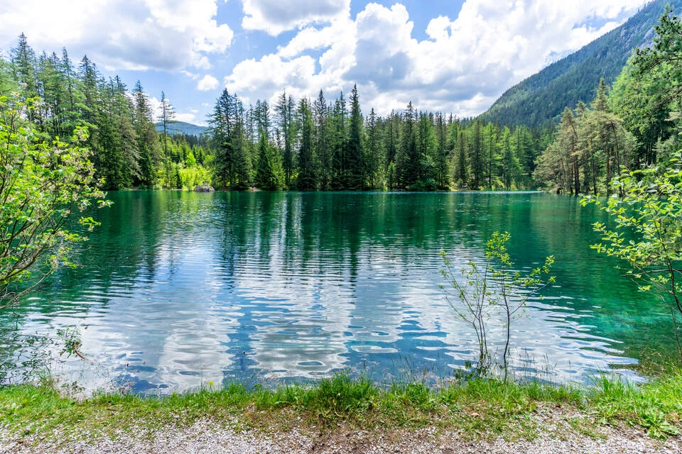 Blurred image background
