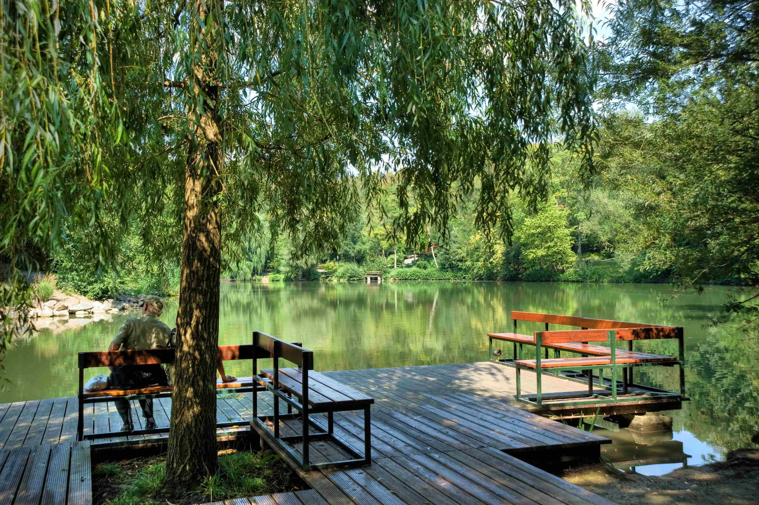 Kurpark Oberlaa