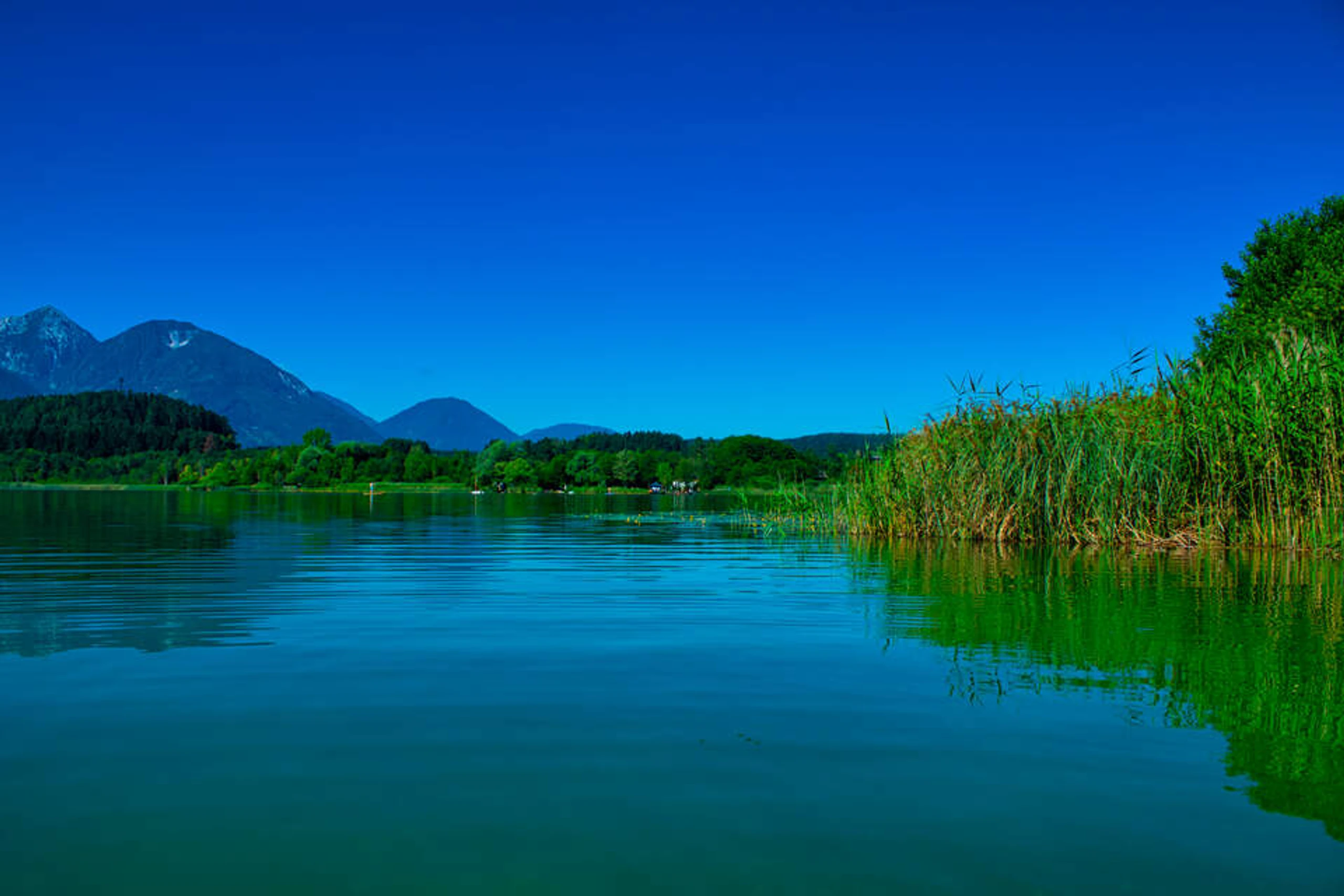 Blurred image background
