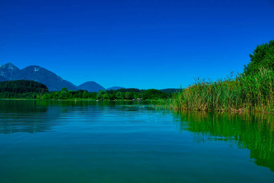 Blurred image background