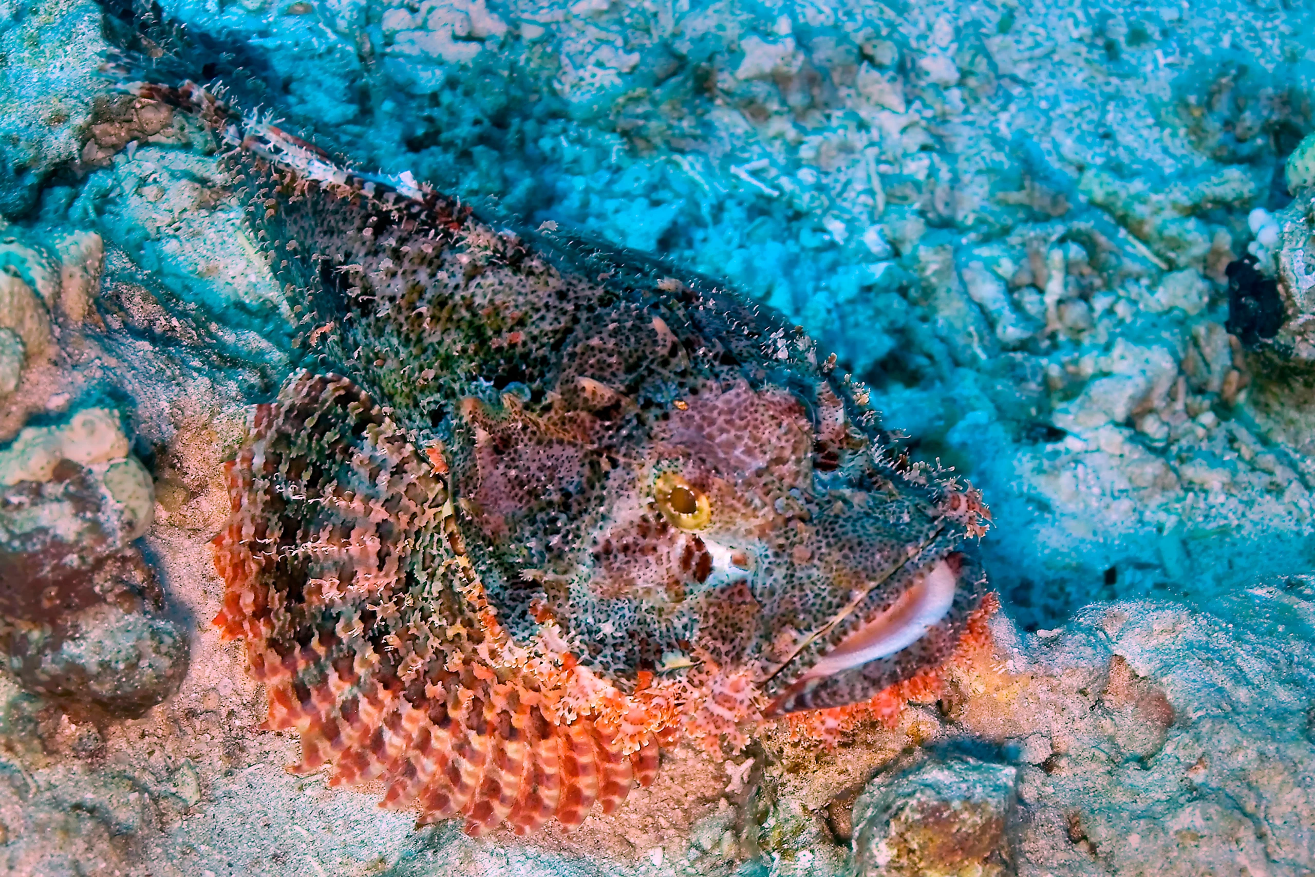 © iStockphoto.com Blurred image background