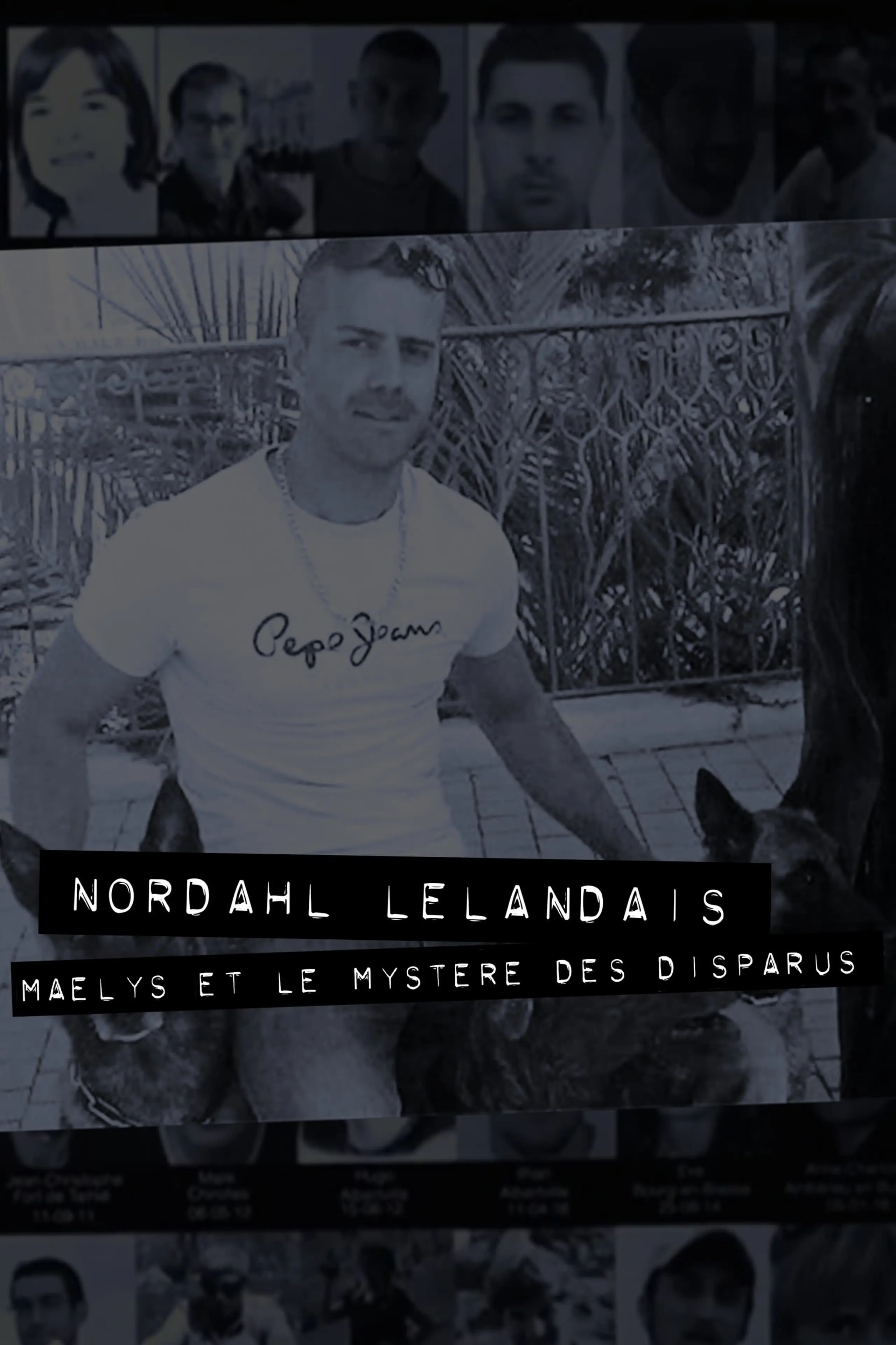 Dans la tête de Nordahl Lelandais