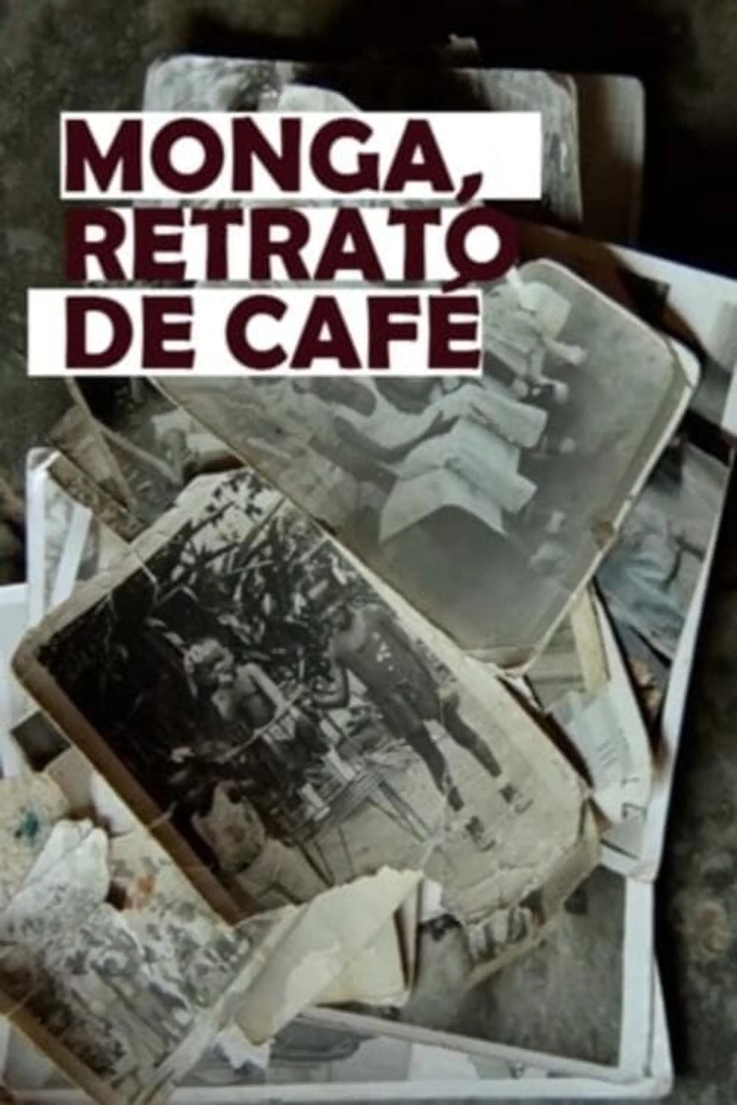 Monga, retrato de café