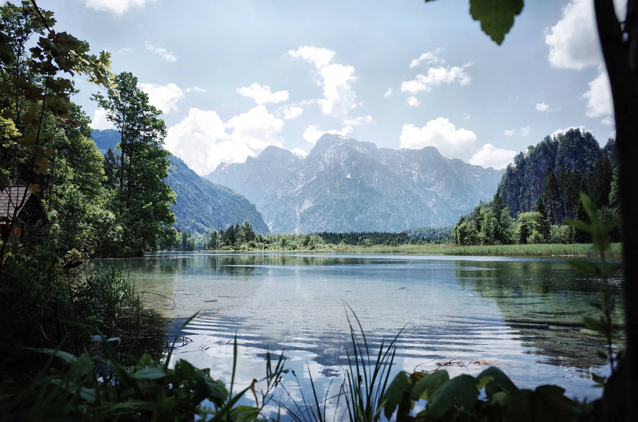 Blurred image background