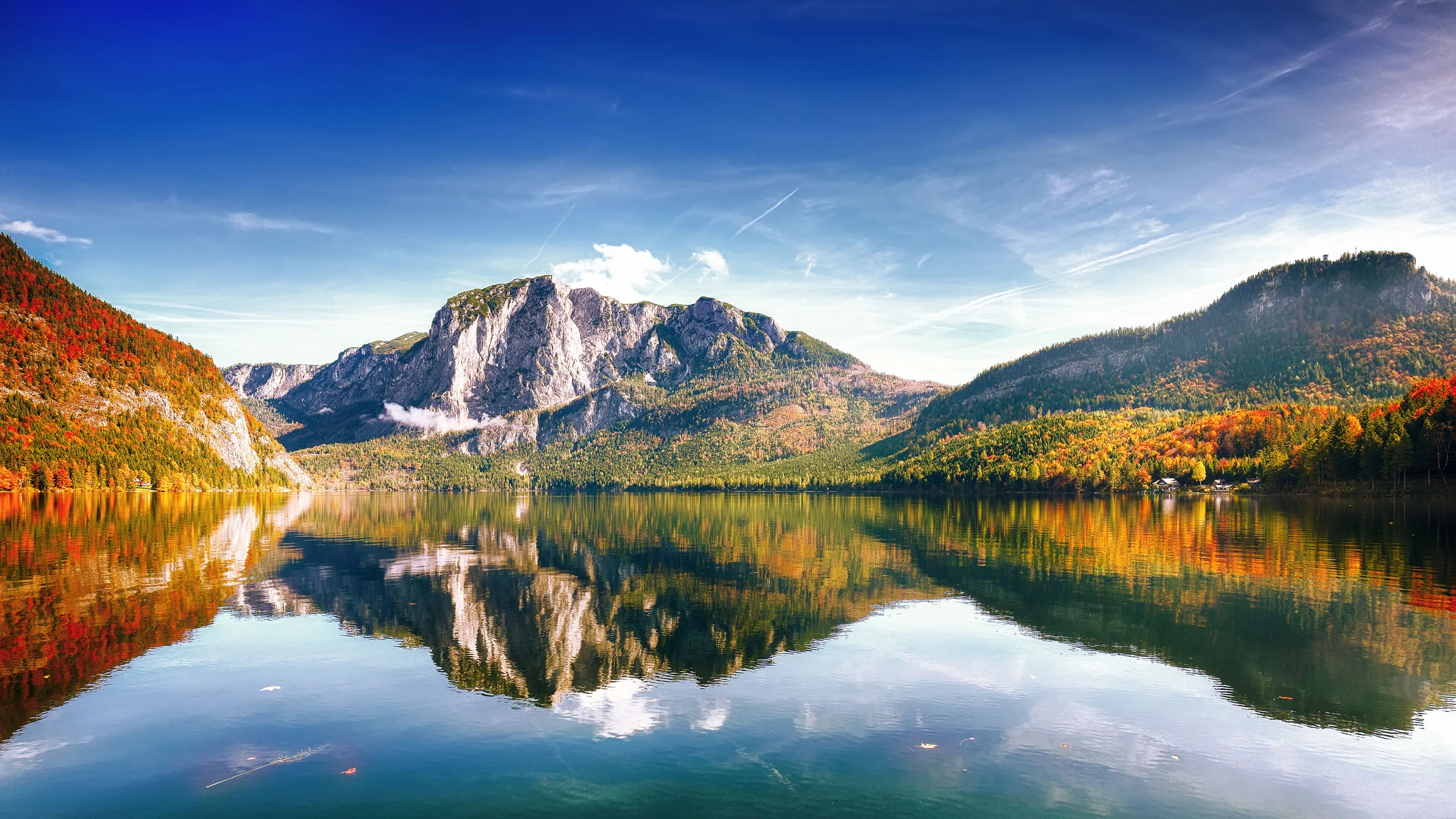 Blurred image background