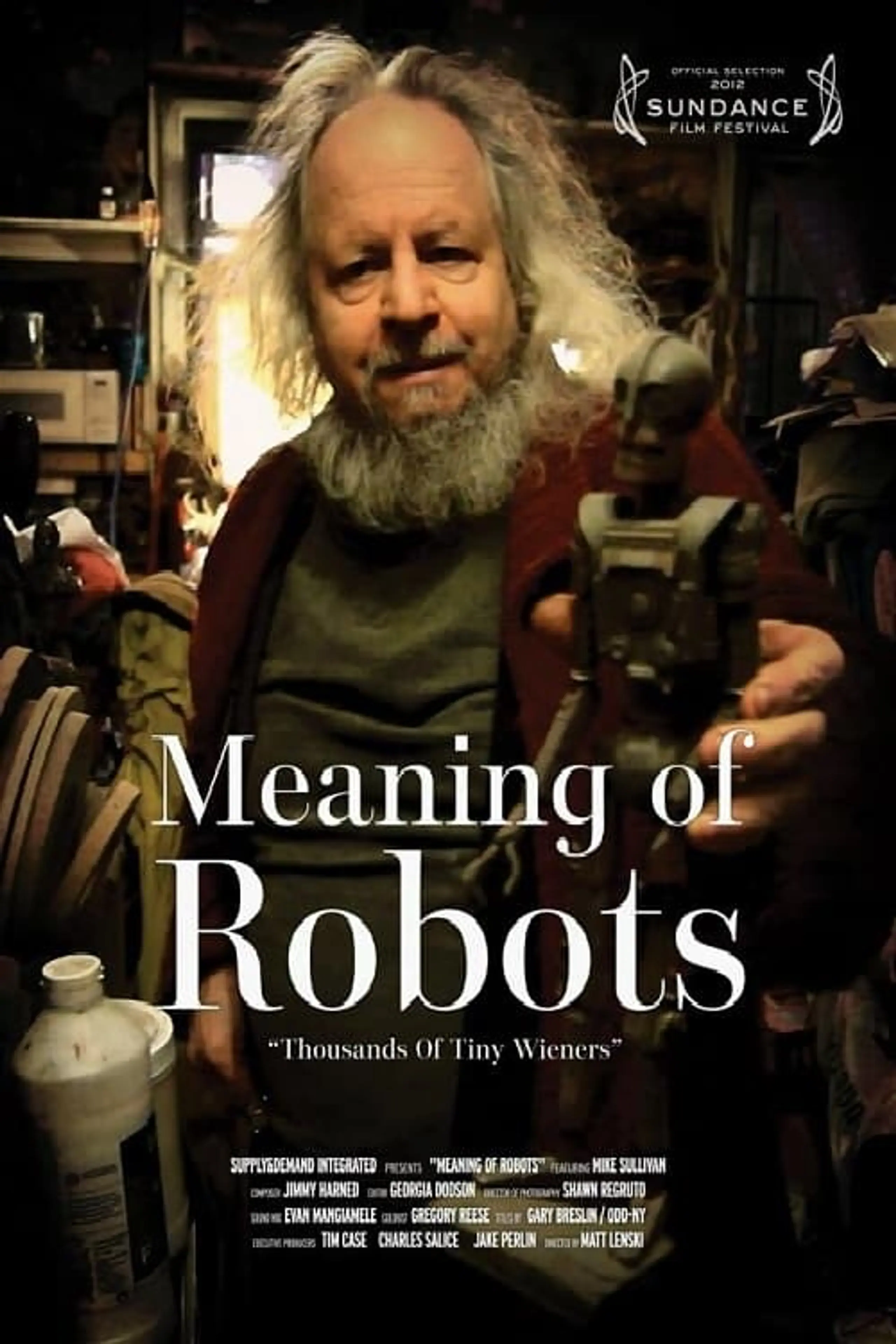 Meaning of Robots