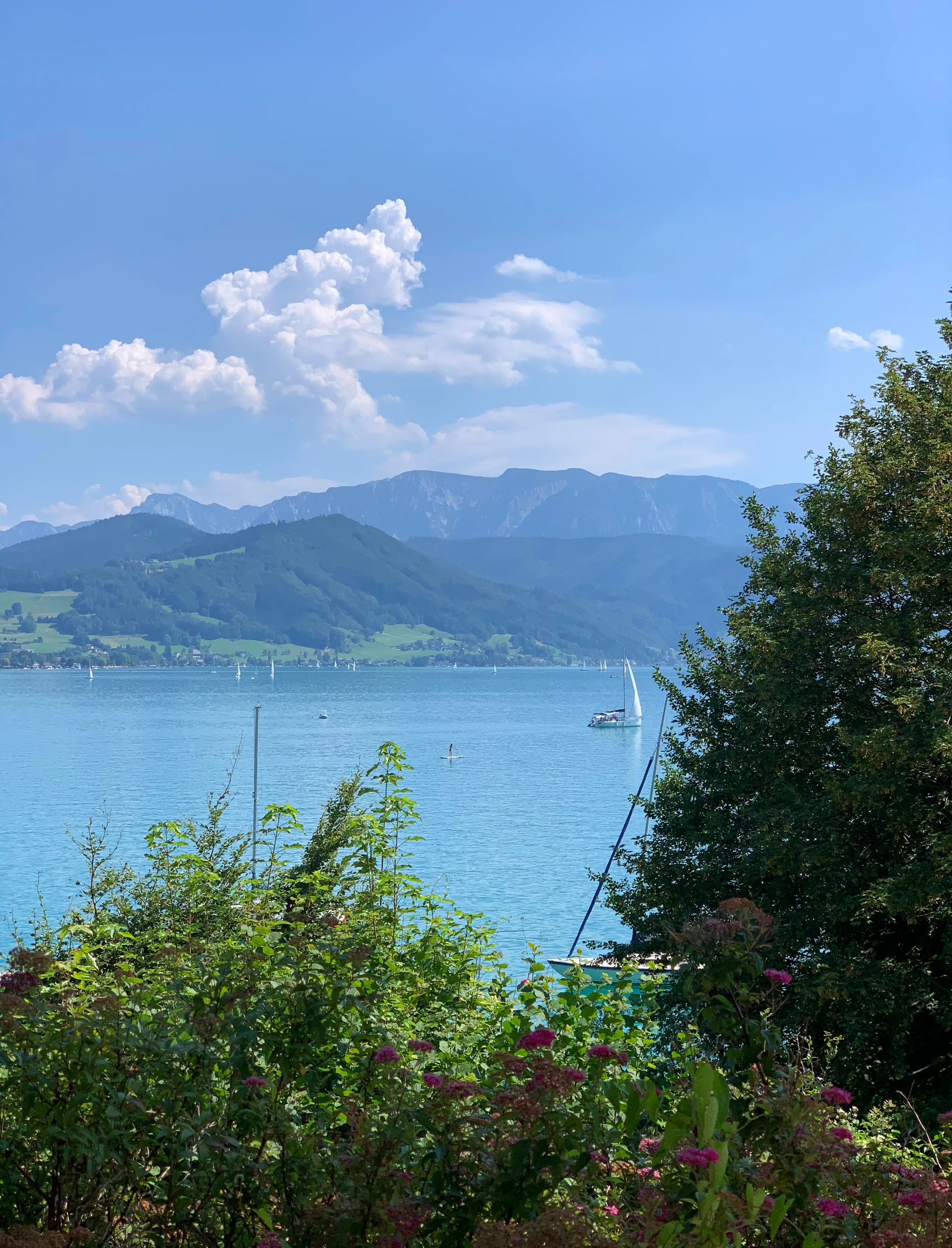 Blurred image background