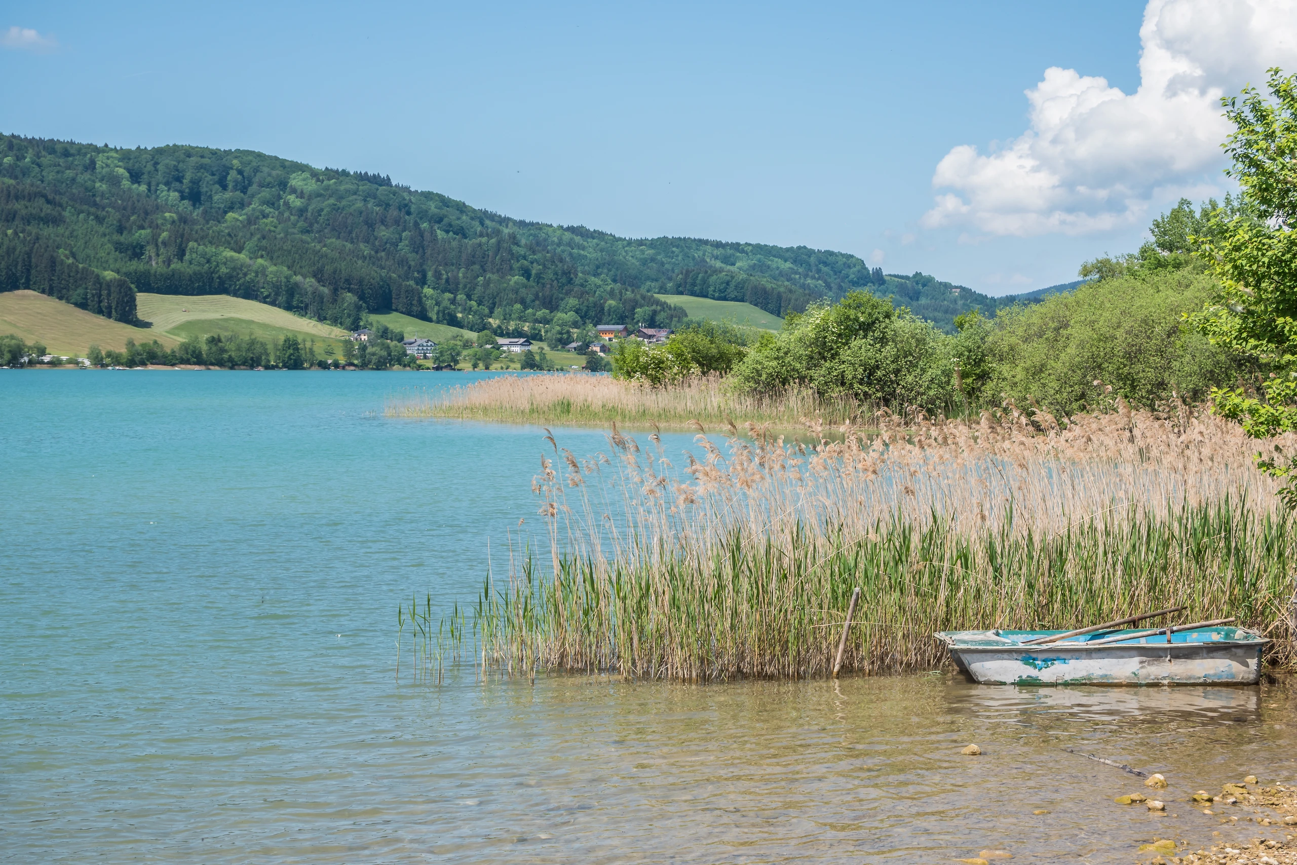 Blurred image background