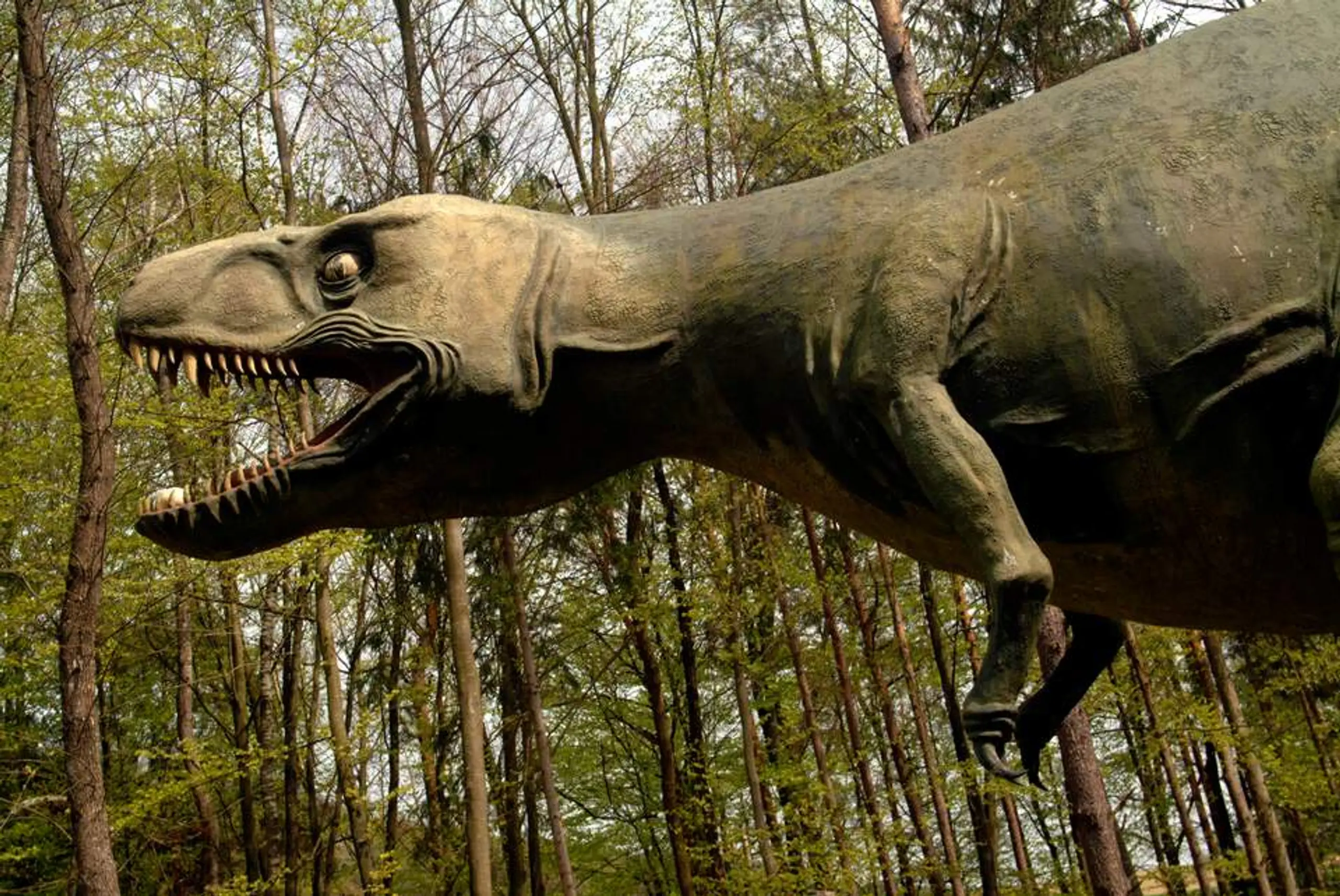 Styrassic Park, Dino-Park, Museum