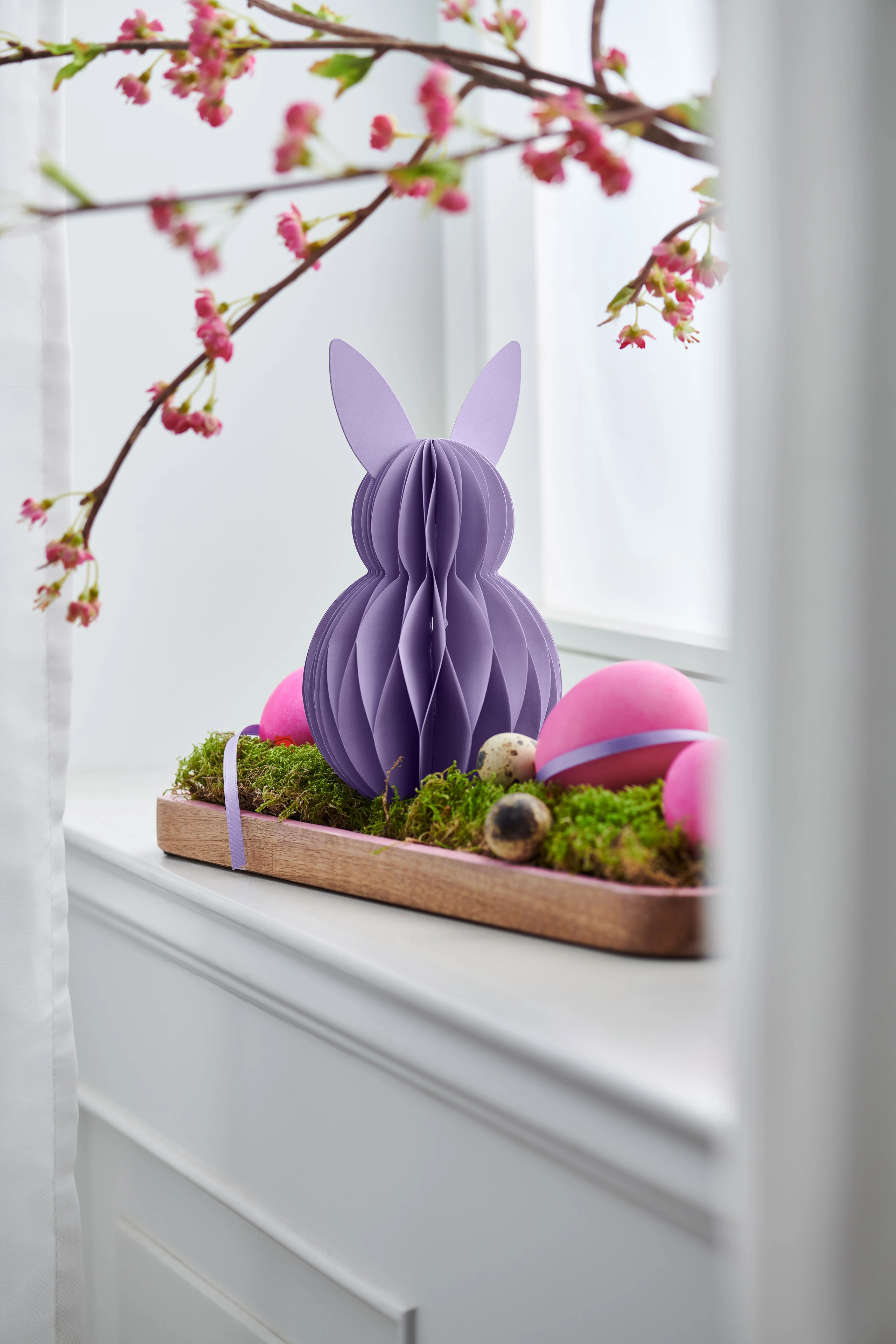 Blurred image background