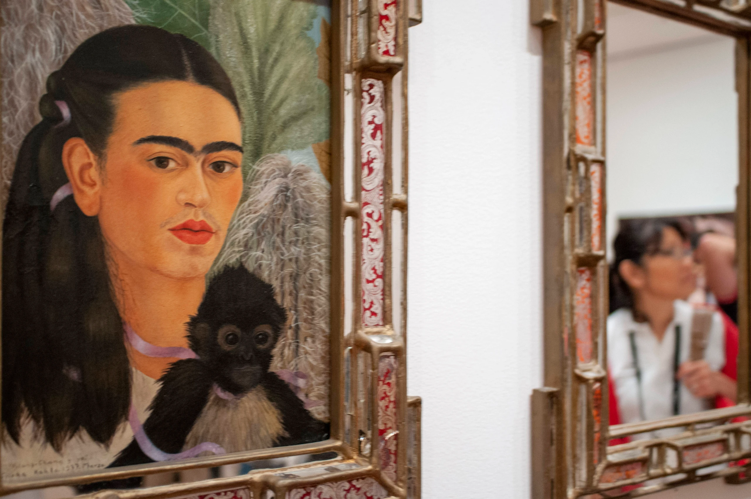 Blurred image background