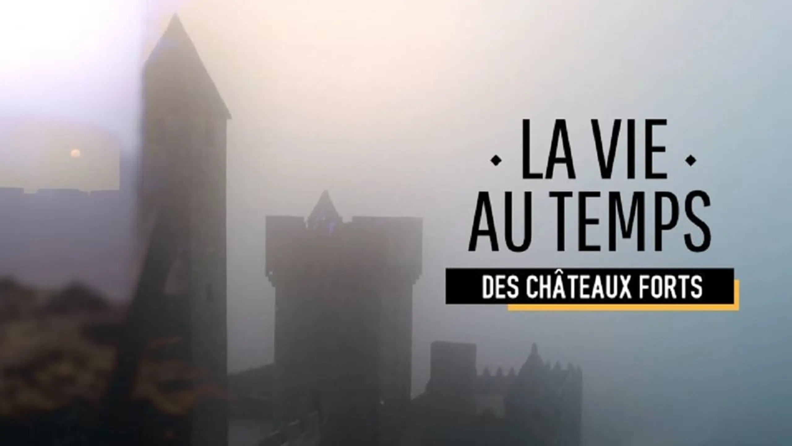 La vie au temps des châteaux forts