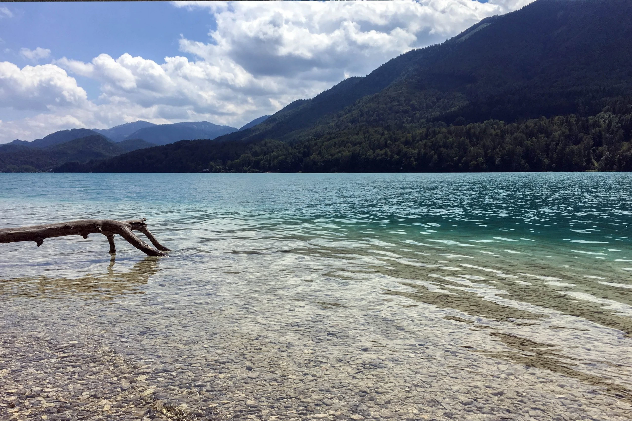 © Elke Mayr Blurred image background