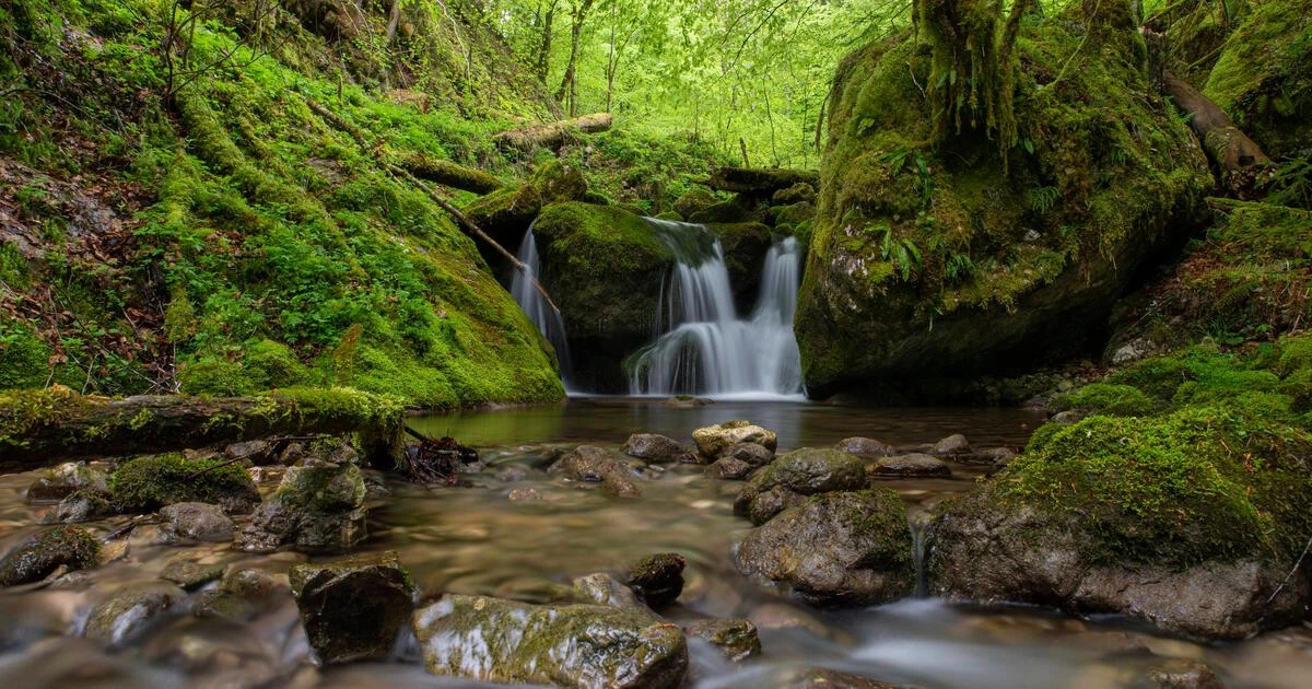 Nationalpark Kalkalpen