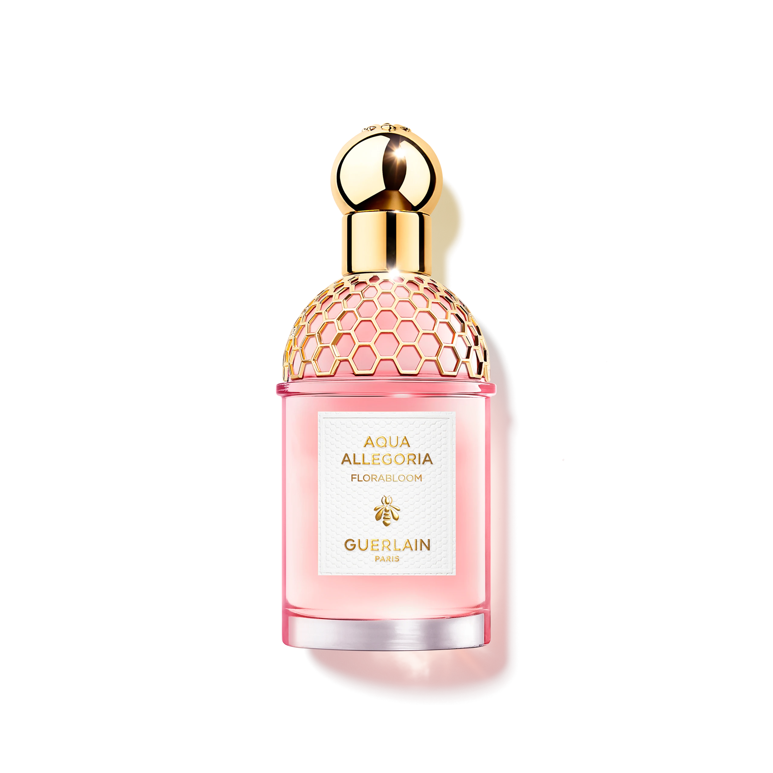 Blurred image background