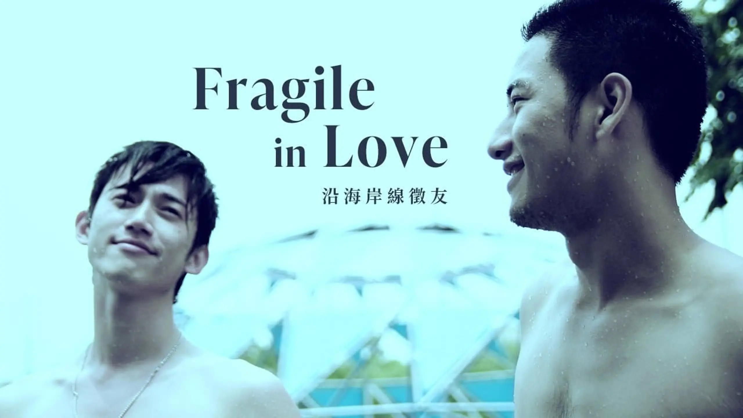 Fragile in Love: Poetry in Motion