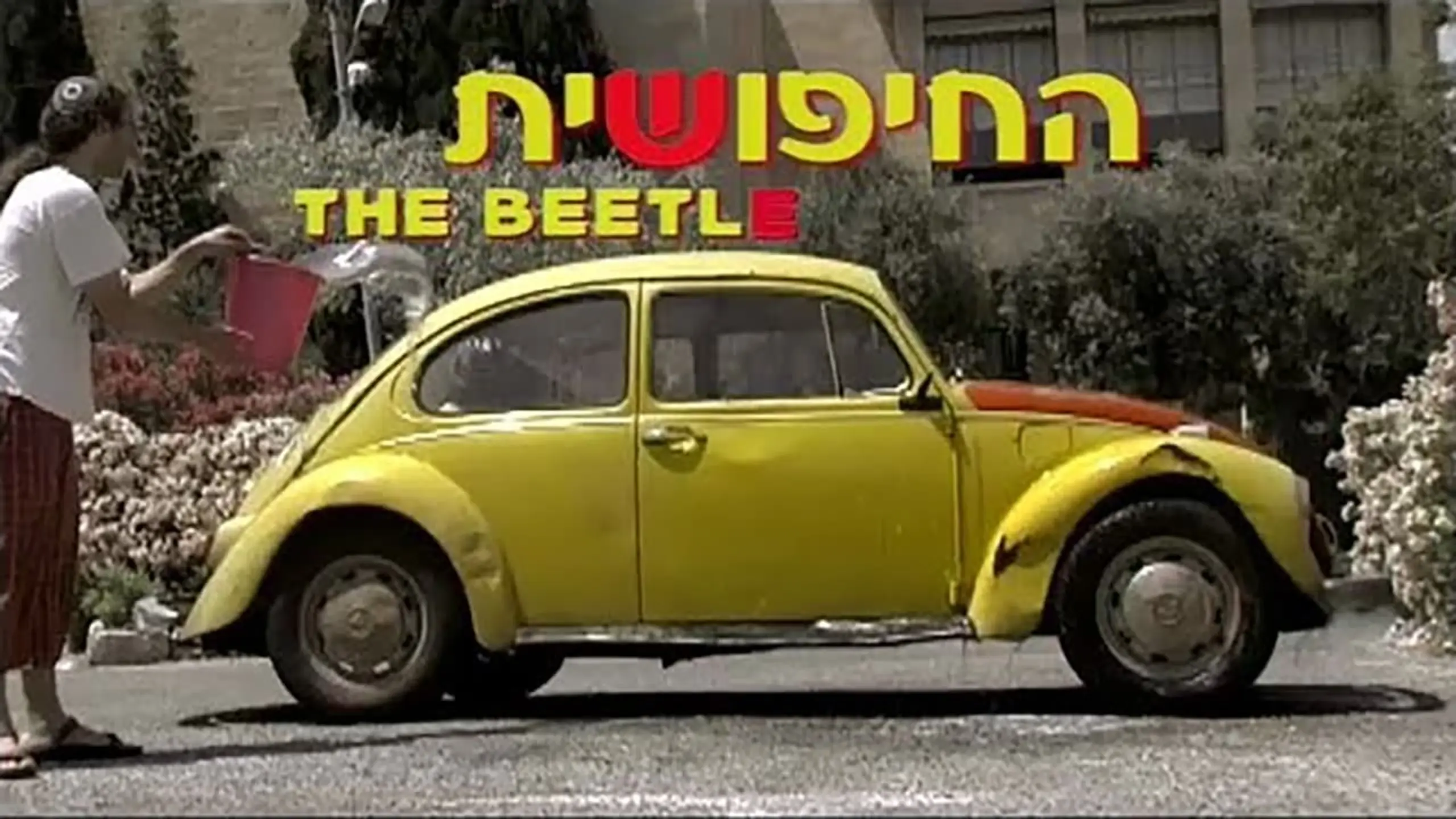 The Beetle