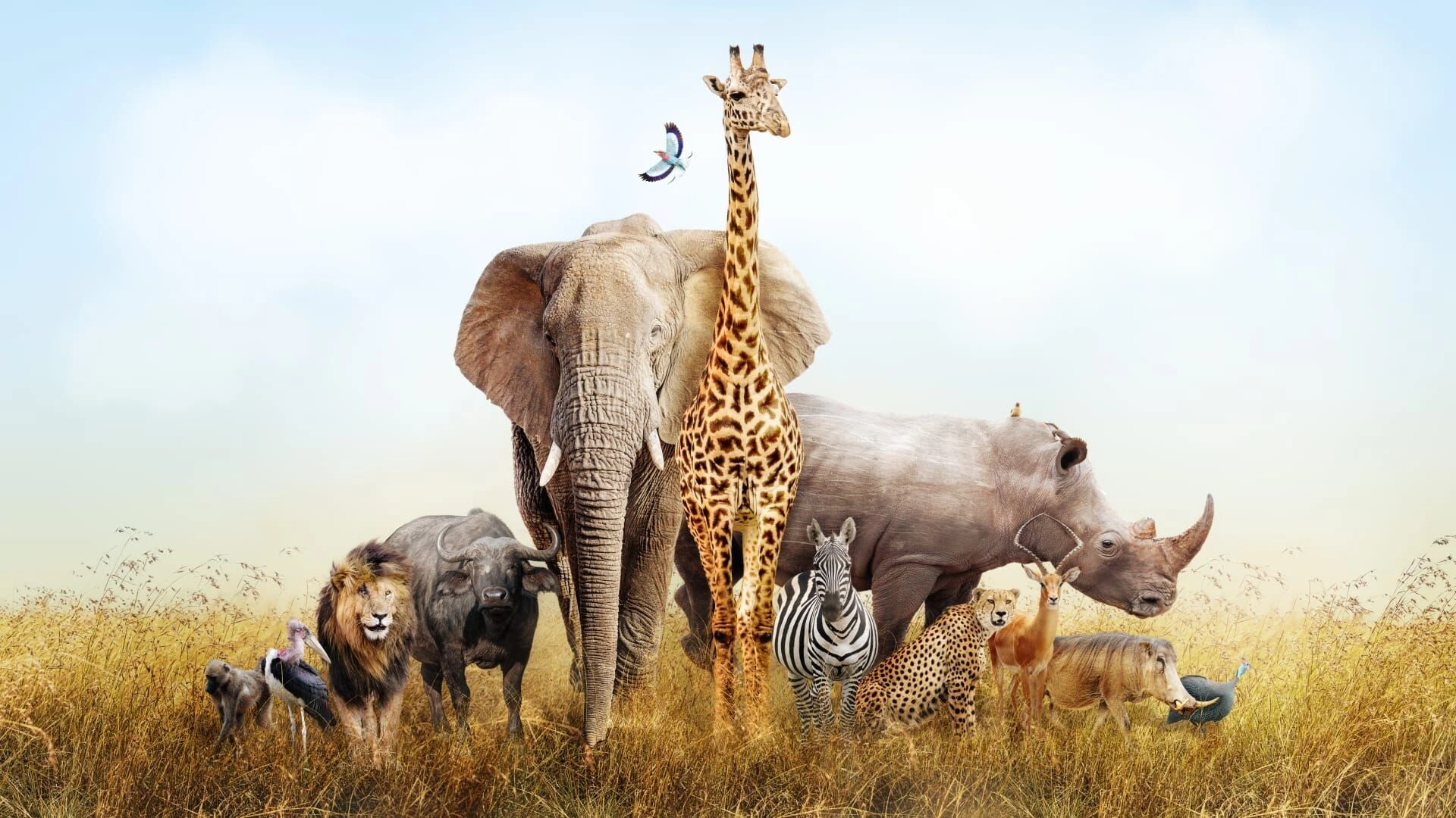 Zoo und so - Tierisch wild!