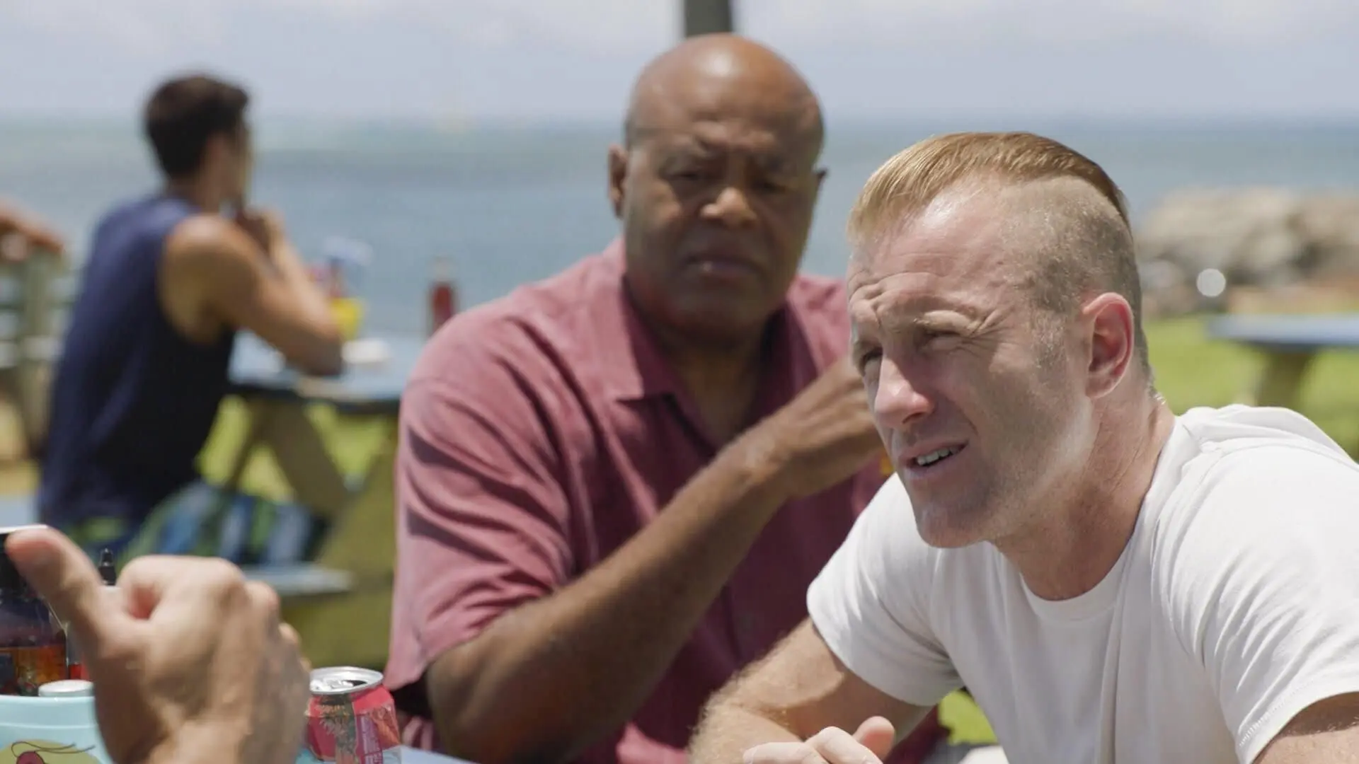 Hawaii Five-0