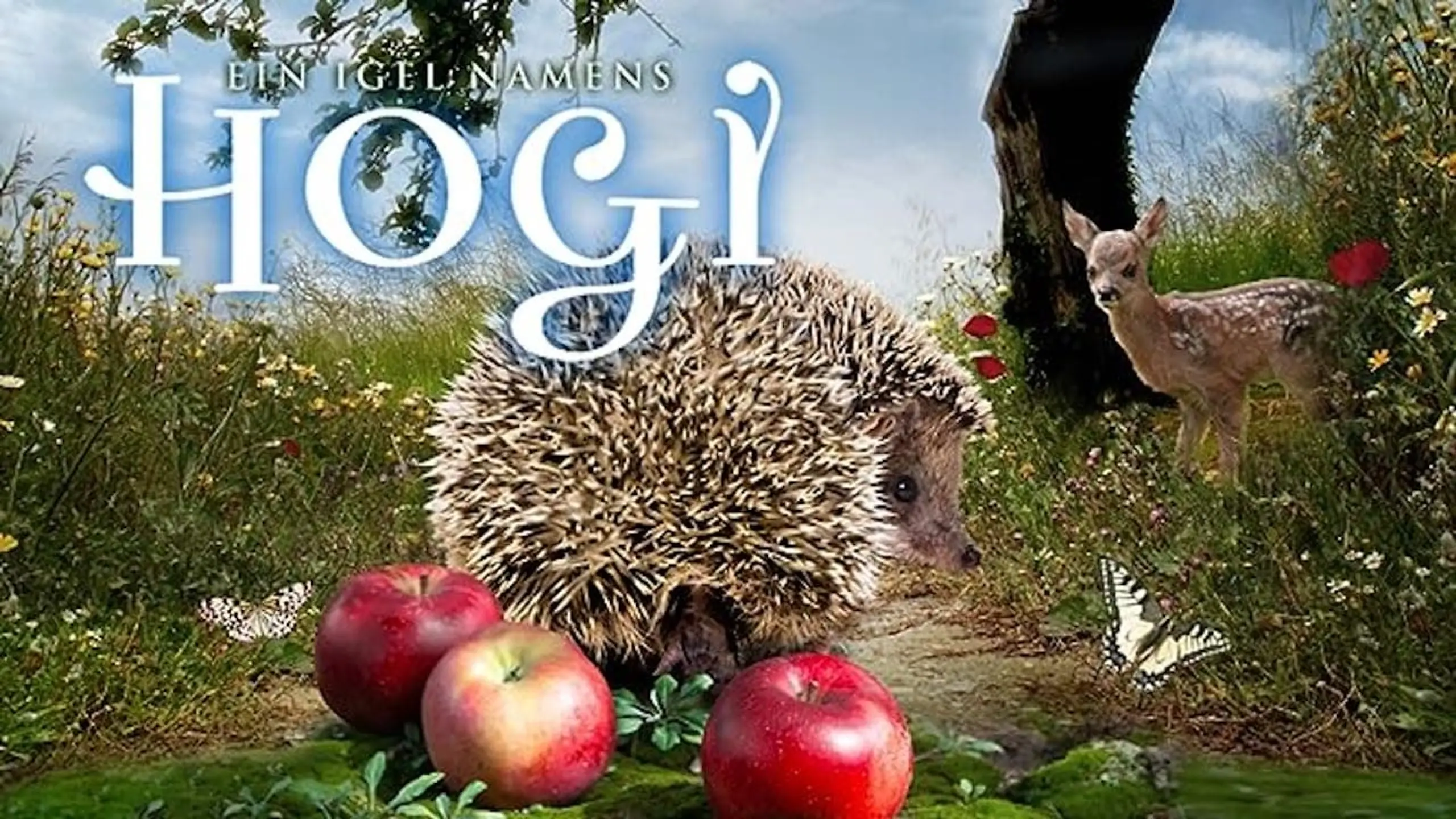 Ein Igel namens Hogi