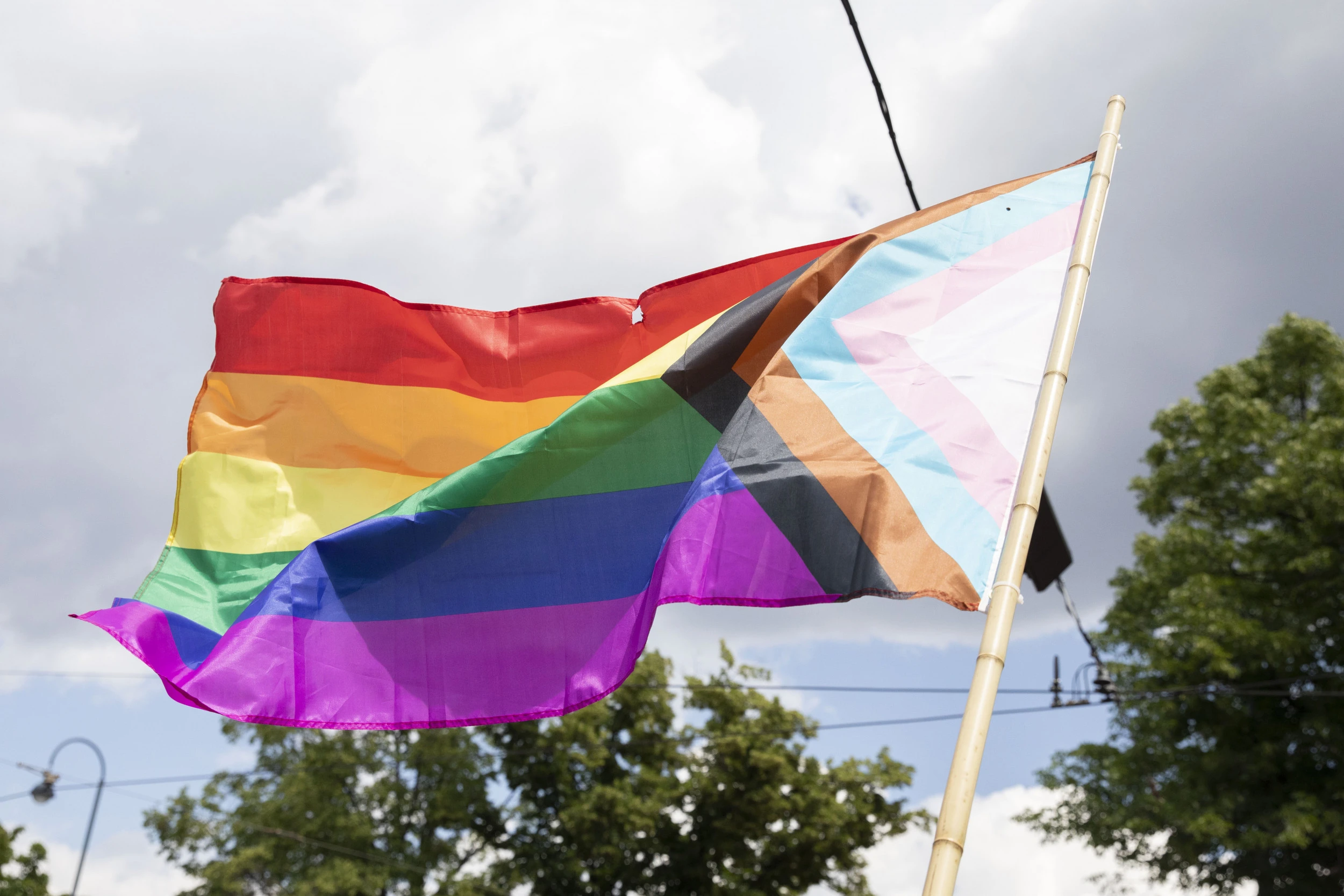 Vienna Pride